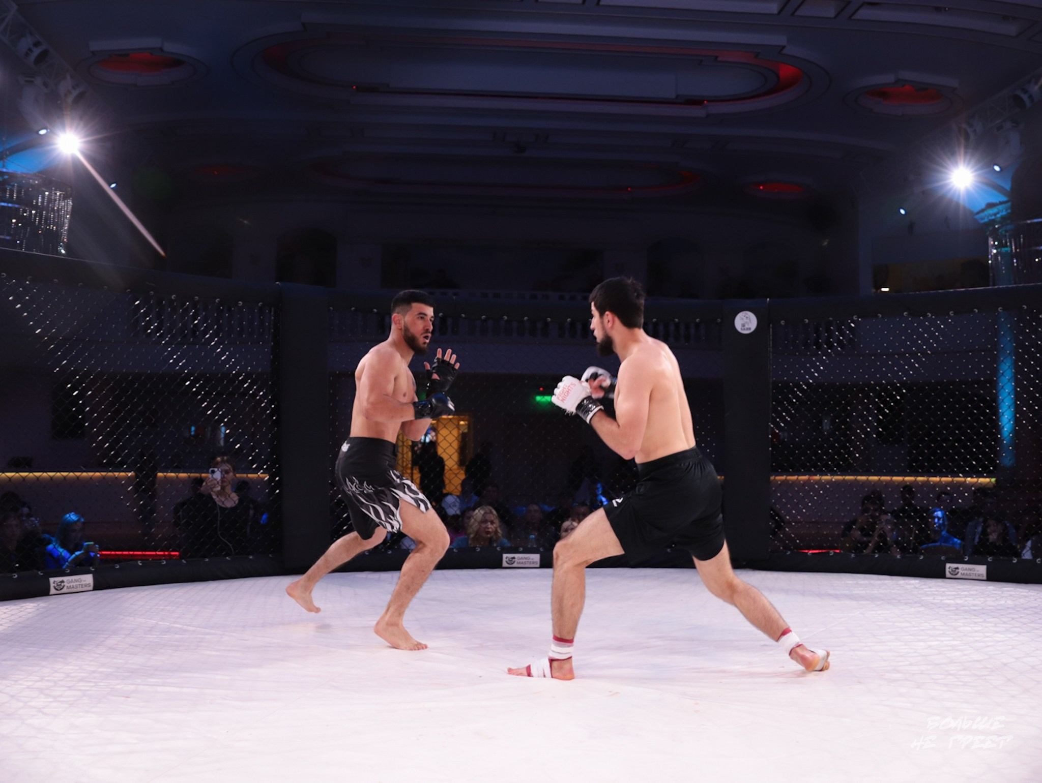 SABR FIGHTING. Больше не греет