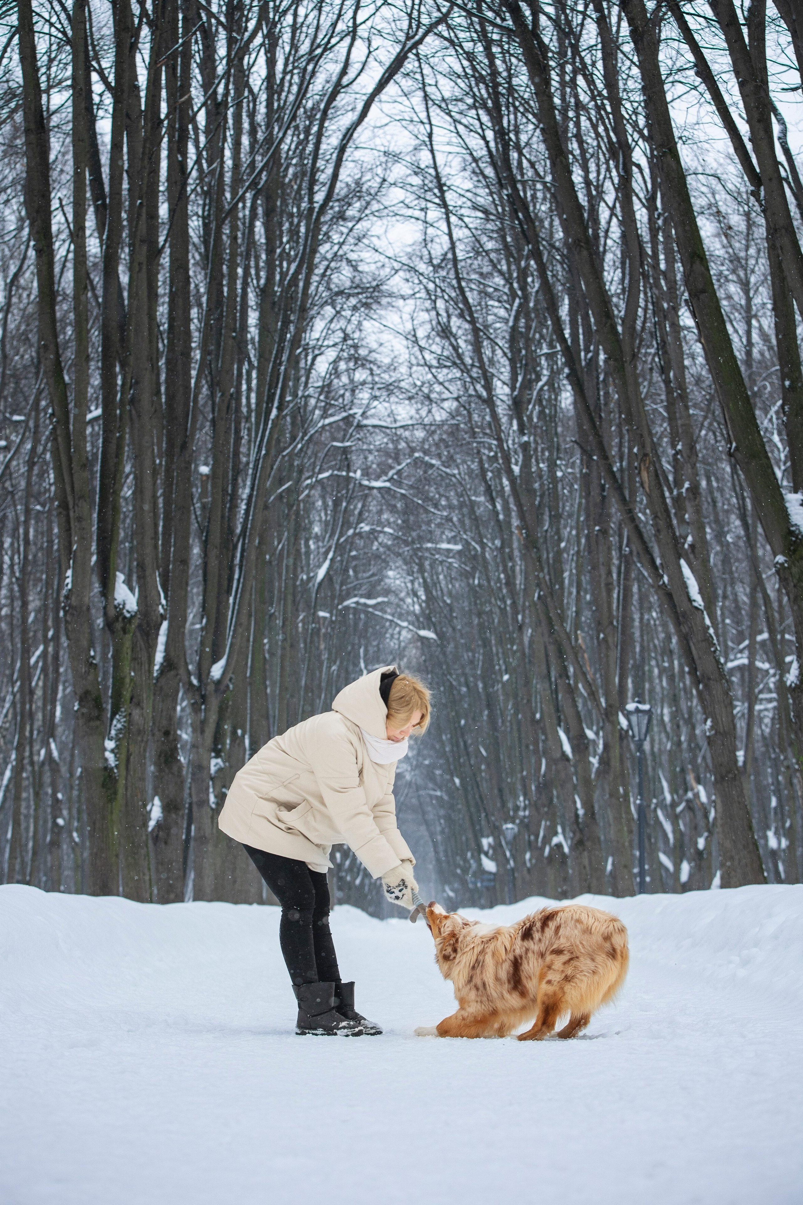 Настя, Игорь, Тесс и Марс. Фотограф анималист в Москве Майорова Евгения