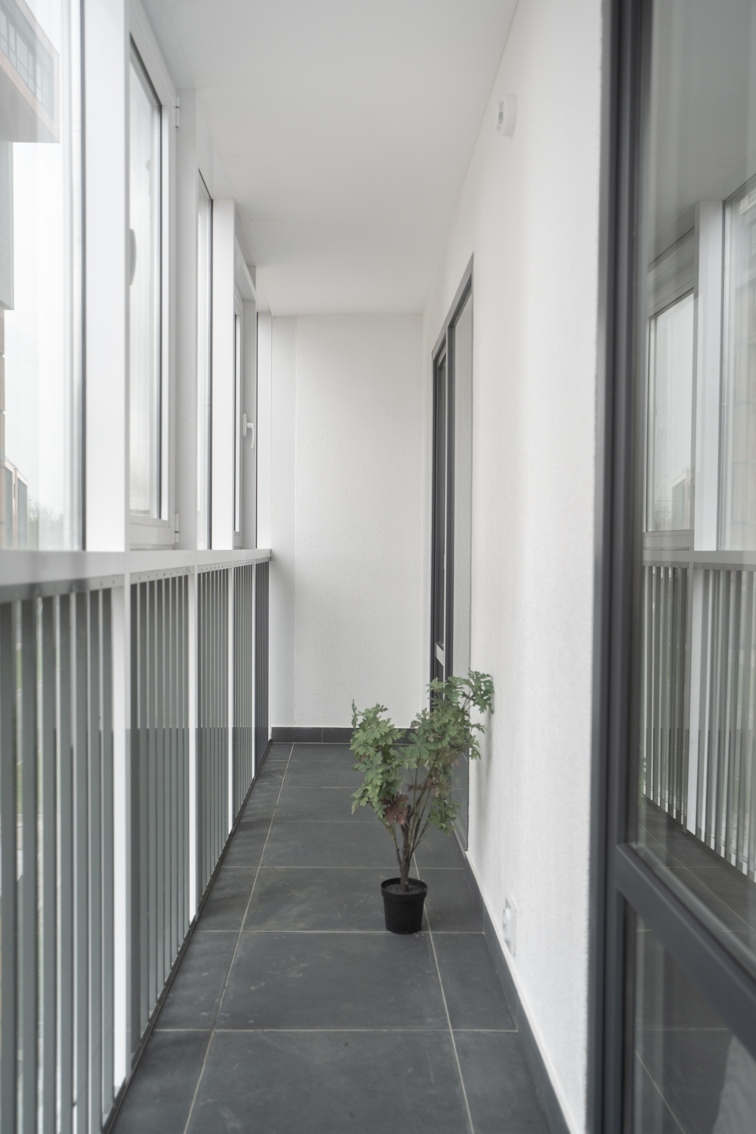 Интерьерная Съемка. Услуги фотографа СПб. Фотограф видеограф Игорь Рисар