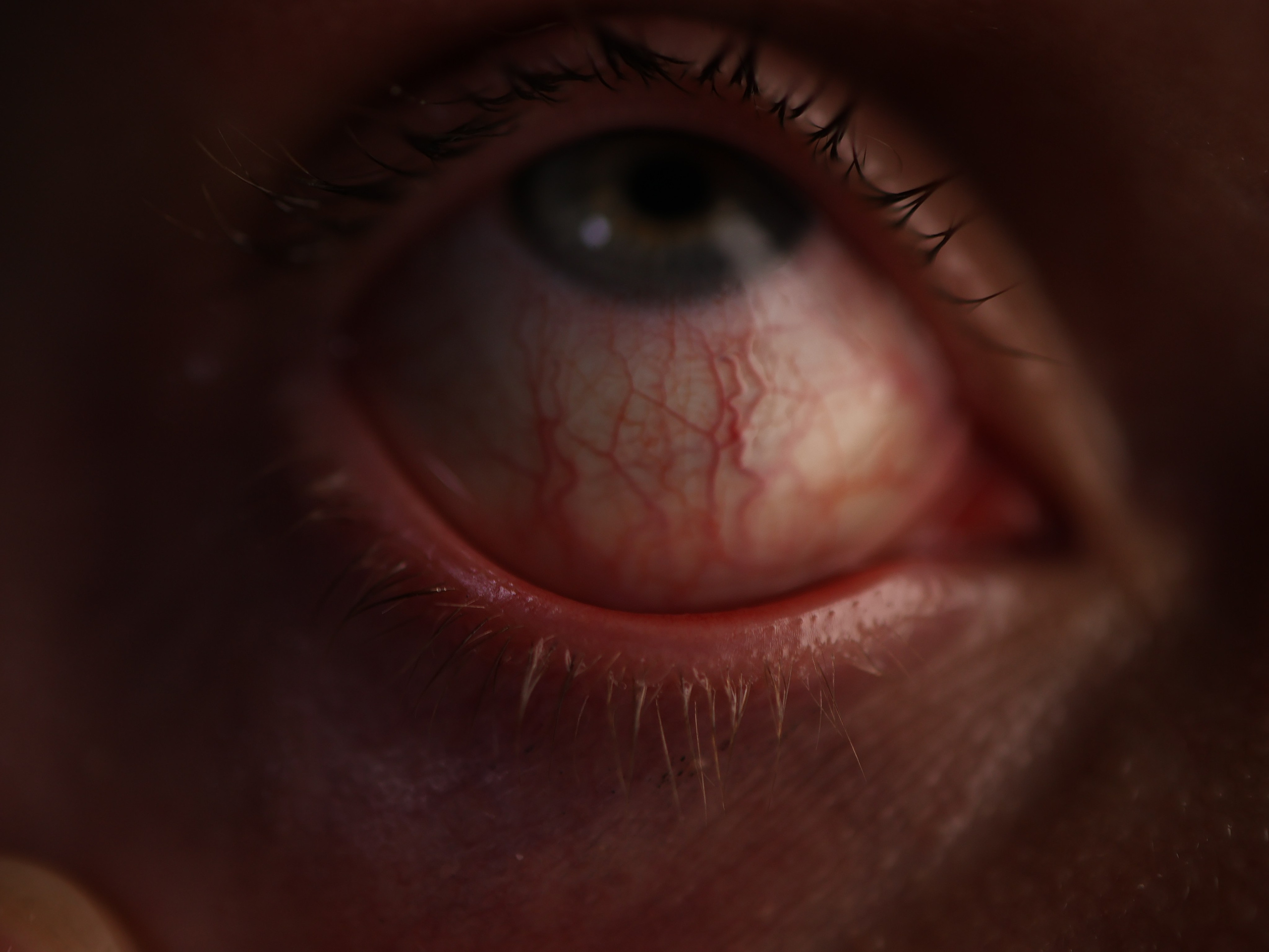 TESTS. Илья Доценко. Модель