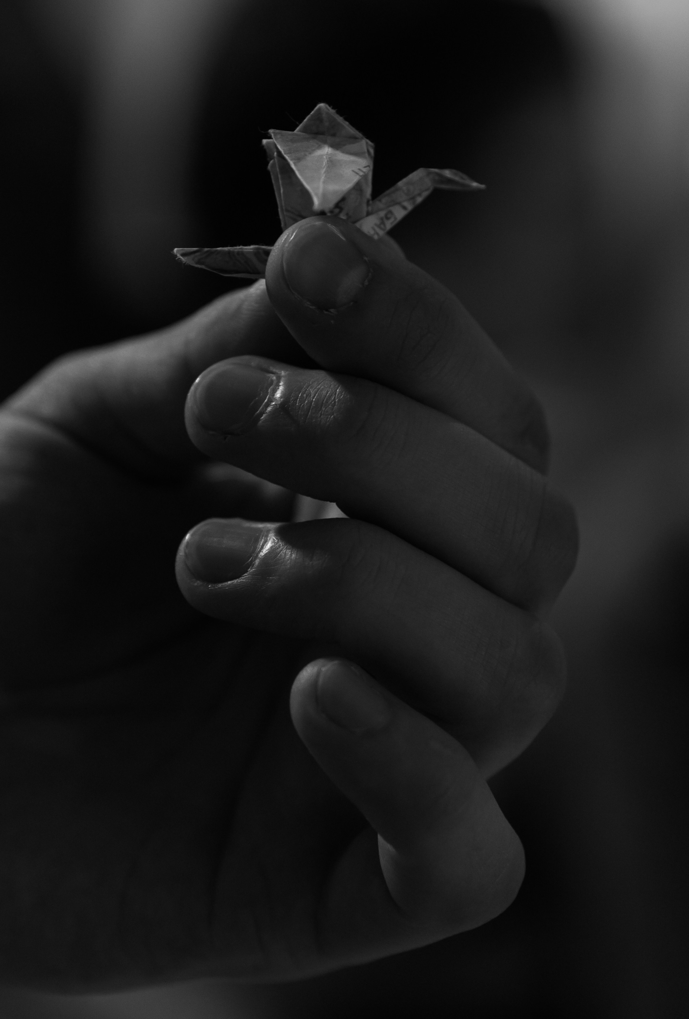 Больше, чем любовь. Фотограф Невинномысск