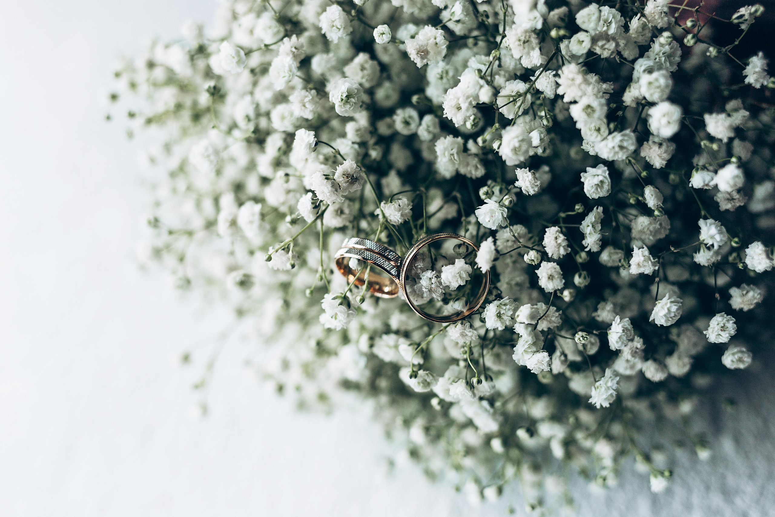 Юлия|Александр. Семейный и свадебный фотограф в Белгороде Анастасия Ковалёва