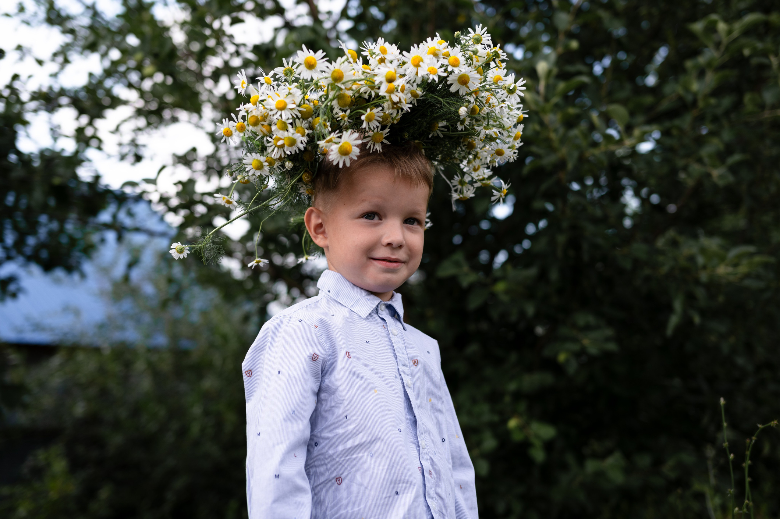 Ромашки и утята. Главная