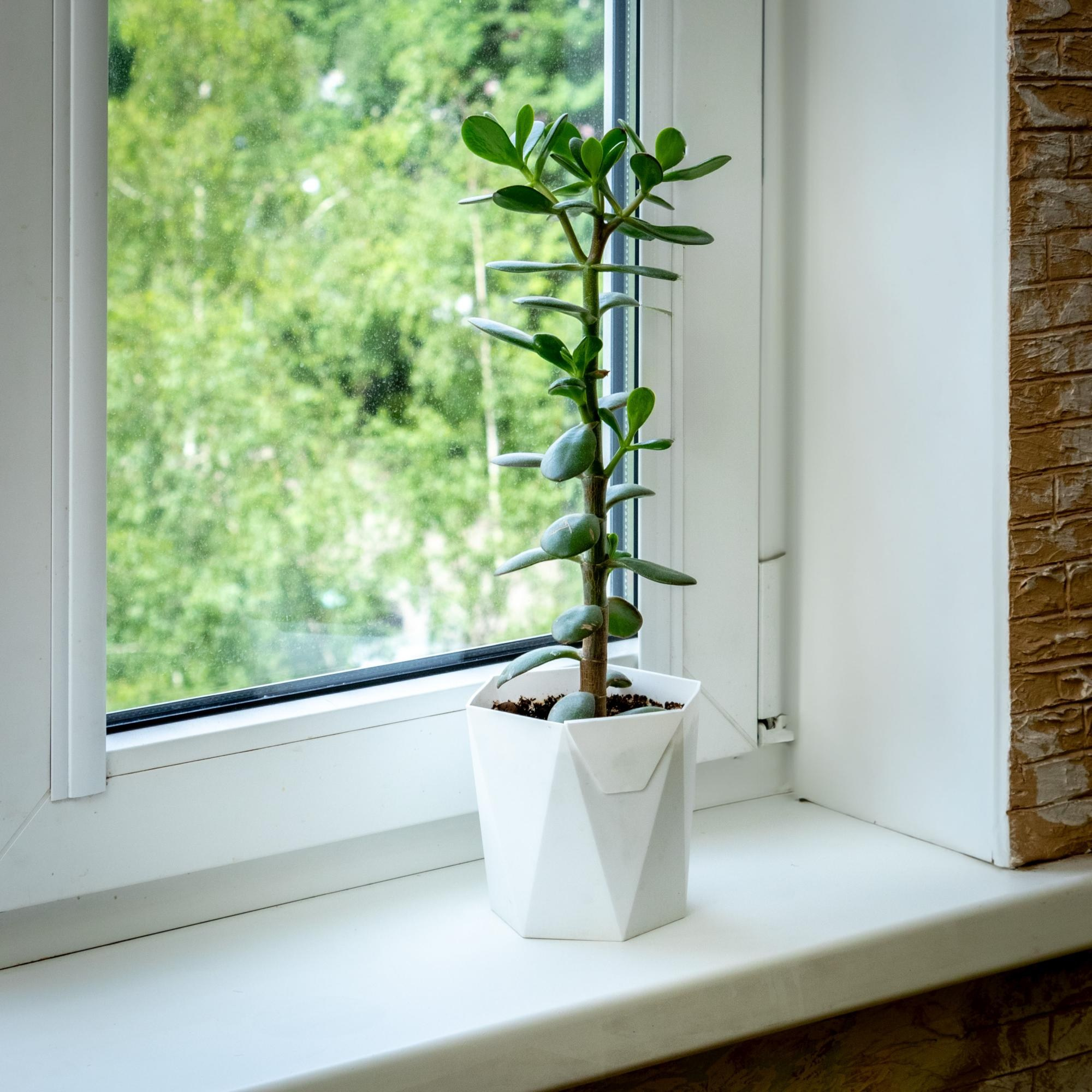 Съемка в интерьере. Leclerc-studio