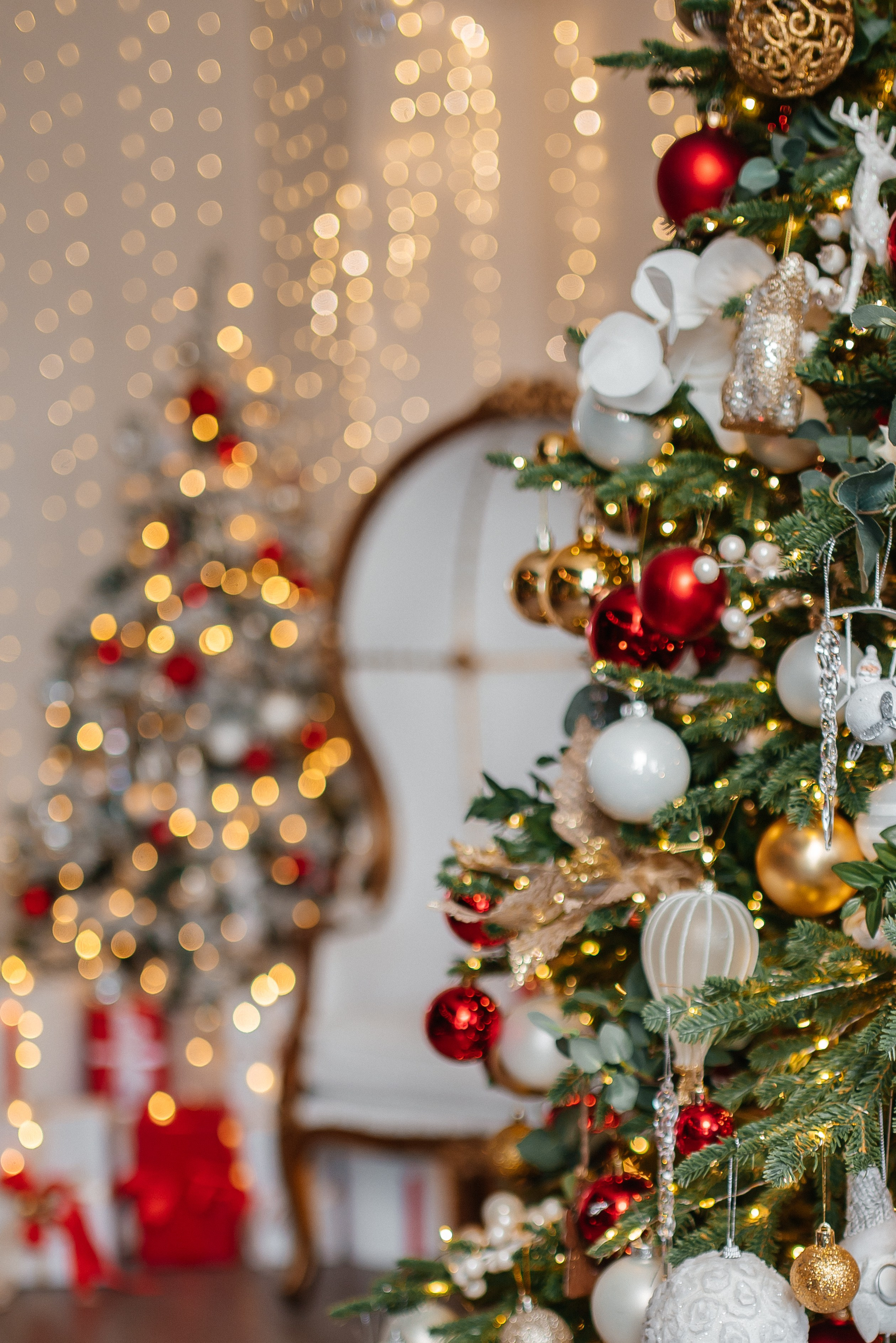 Look. Свадебный фотограф в новокузнецке