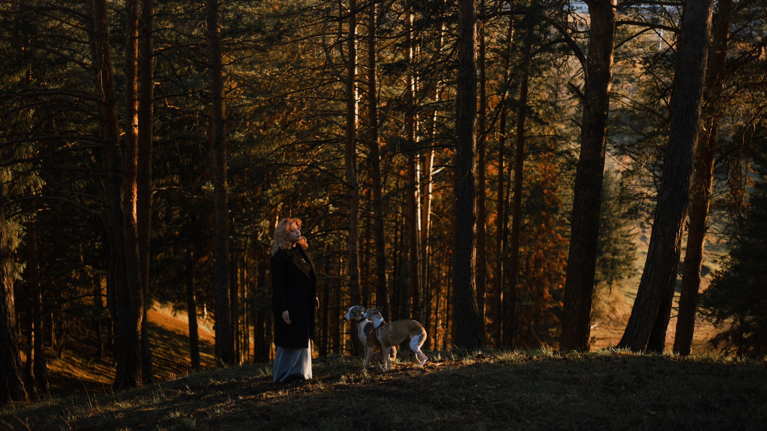 Вика, Джем и Белла. Фотограф-анималист Богданова Полина