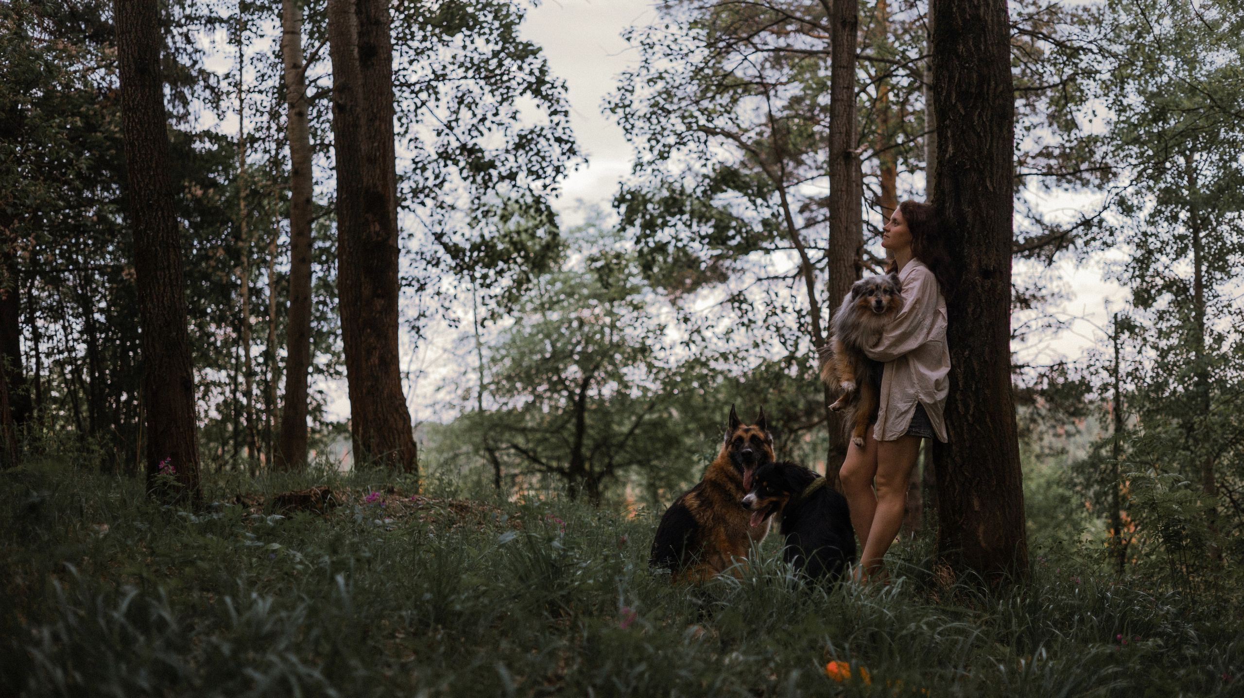 Настя, Шуня, Милка и Тигуан. Фотограф-анималист Богданова Полина