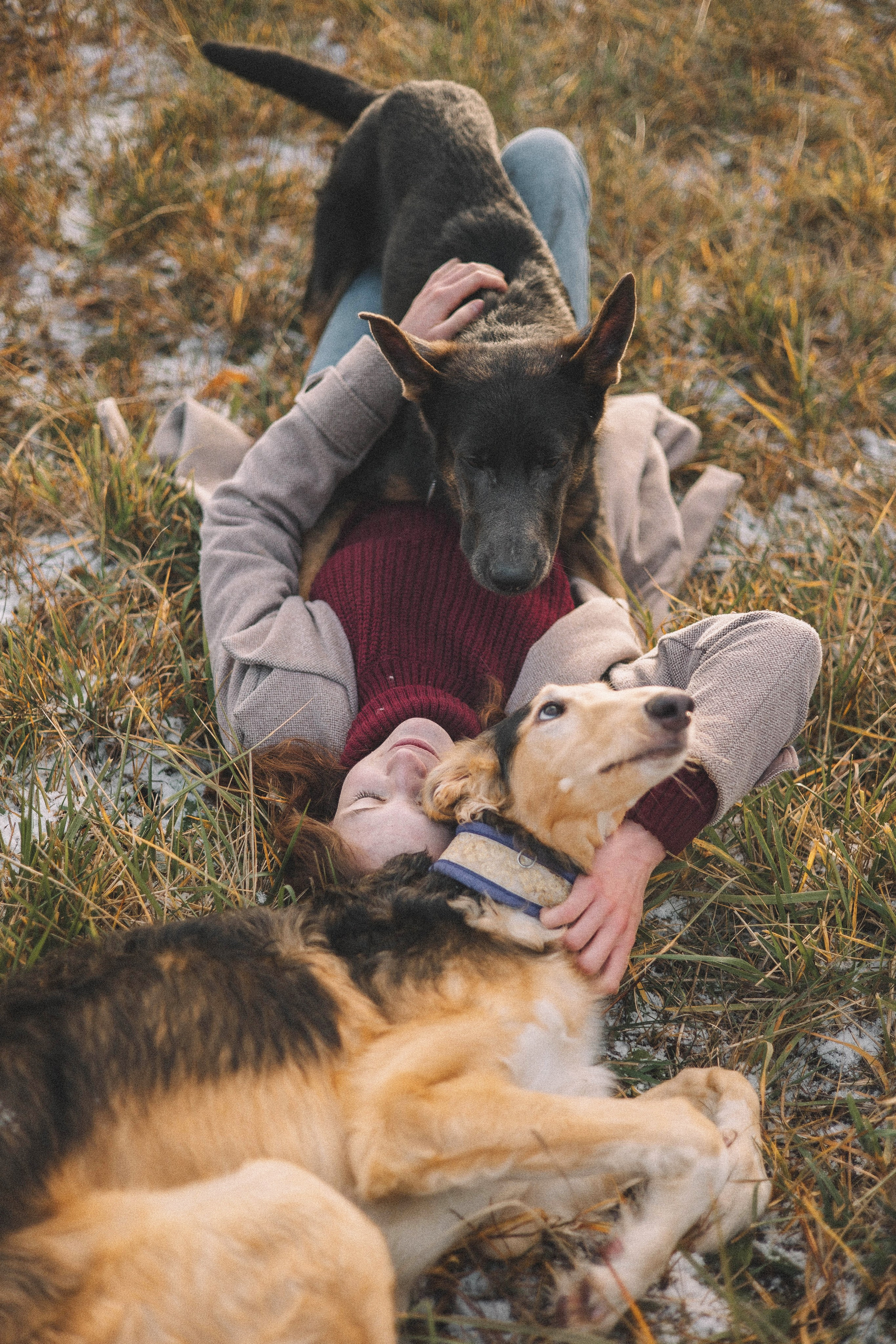 Алена, Леви и Микаса. Фотограф-анималист Богданова Полина