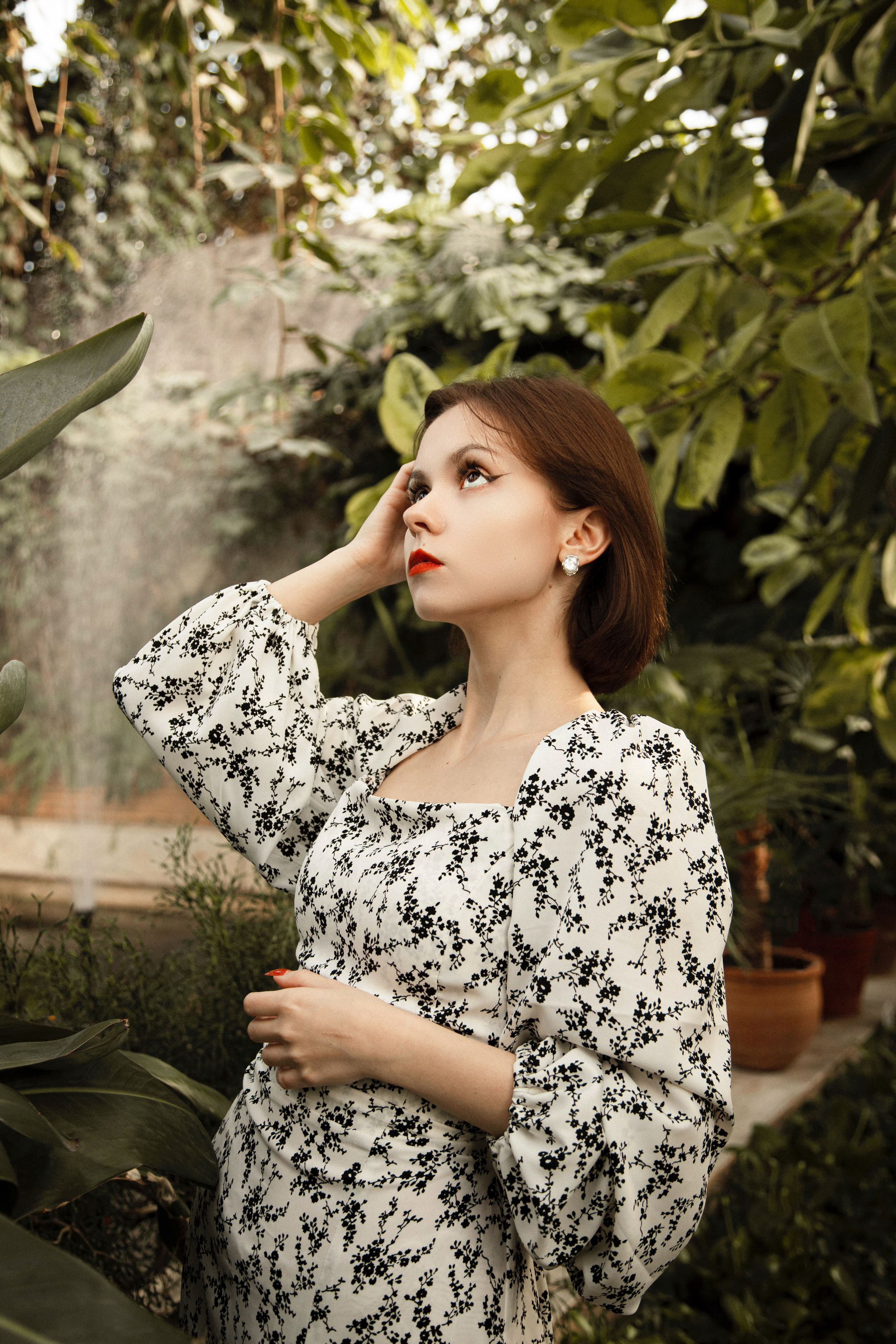 Оранжерея Таврического сада