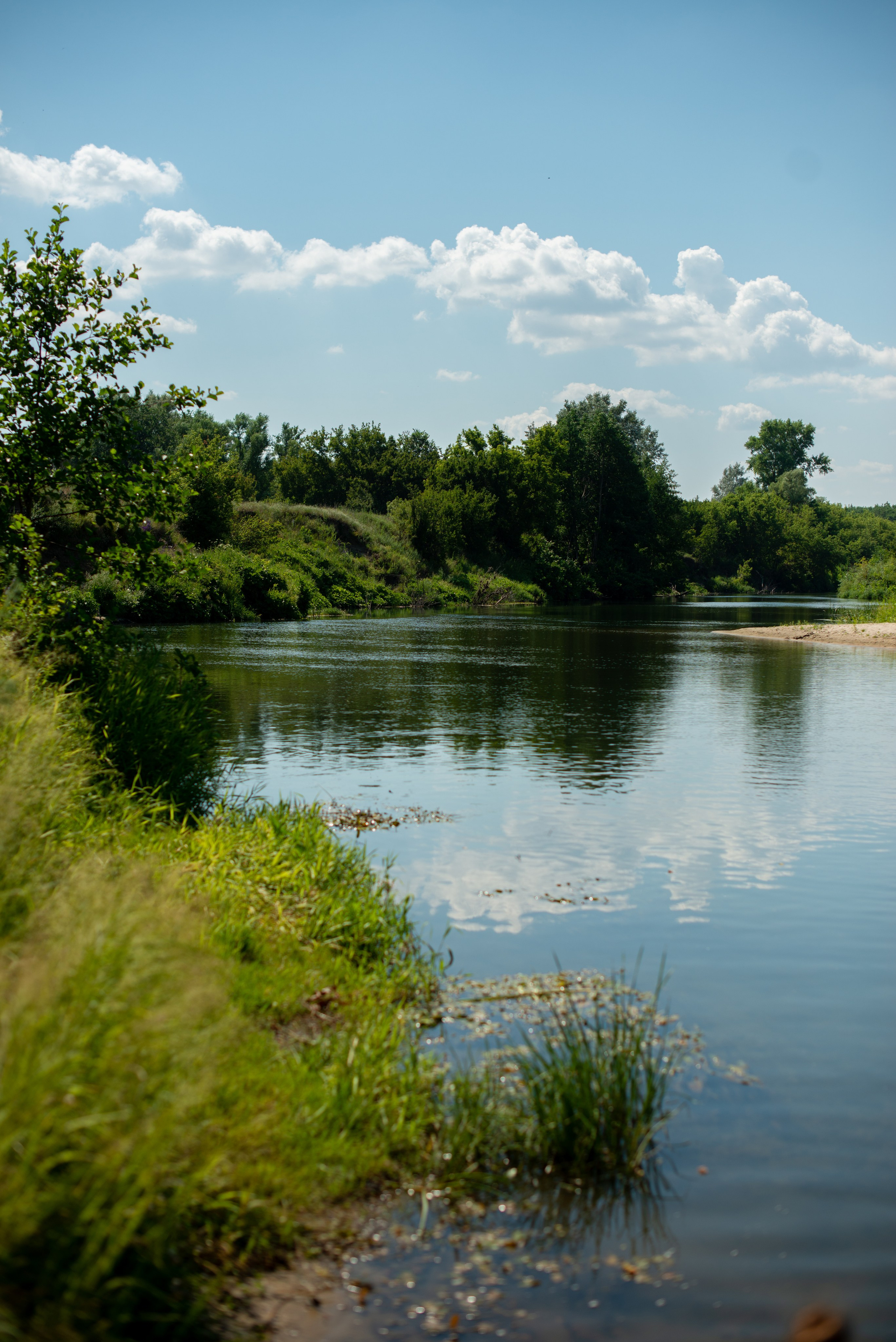 Купала в Родославном. Конный фотограф в Саратове Юлия Иванова