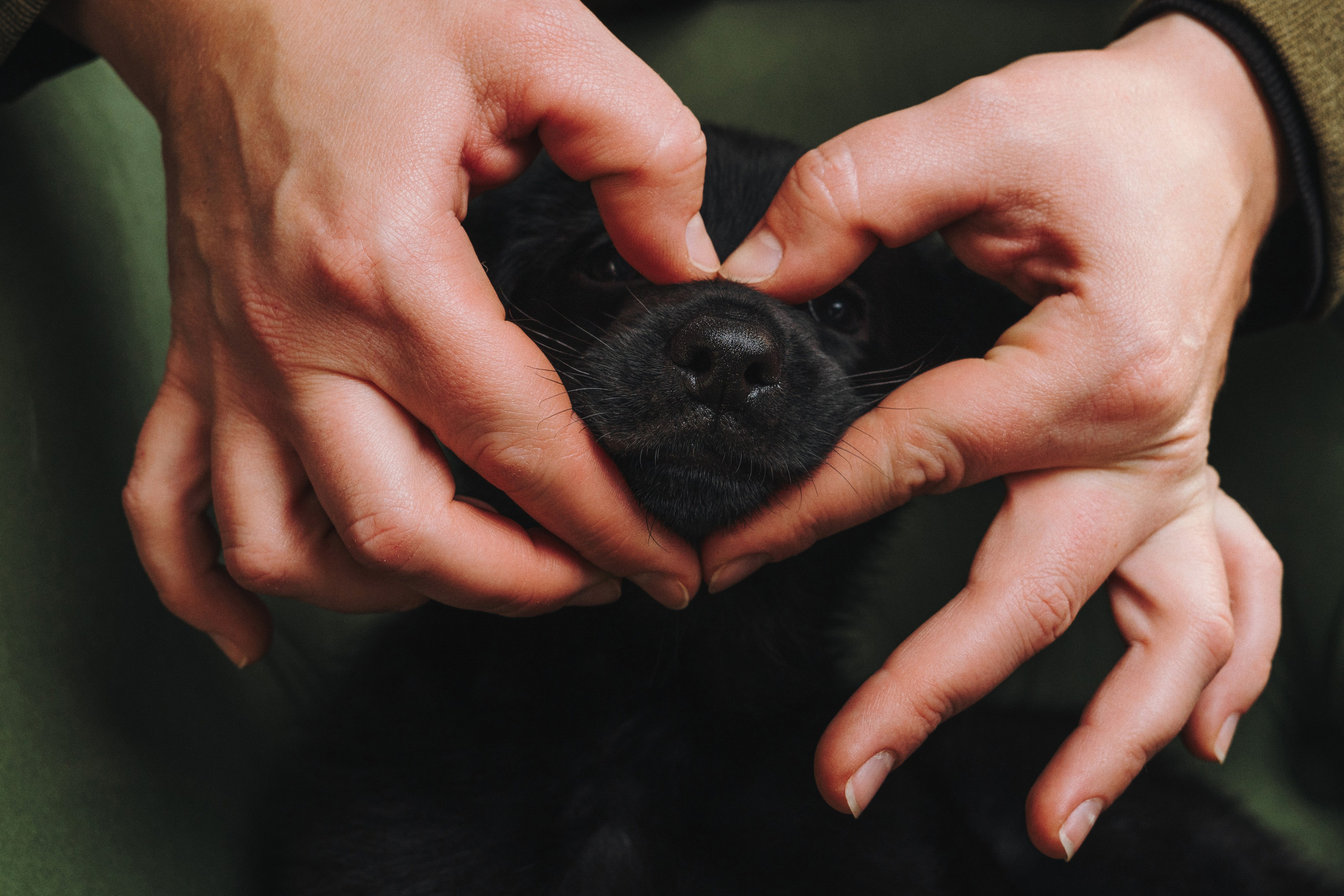 Аня и Базилика. Фотограф анималист Осипчикова Мария