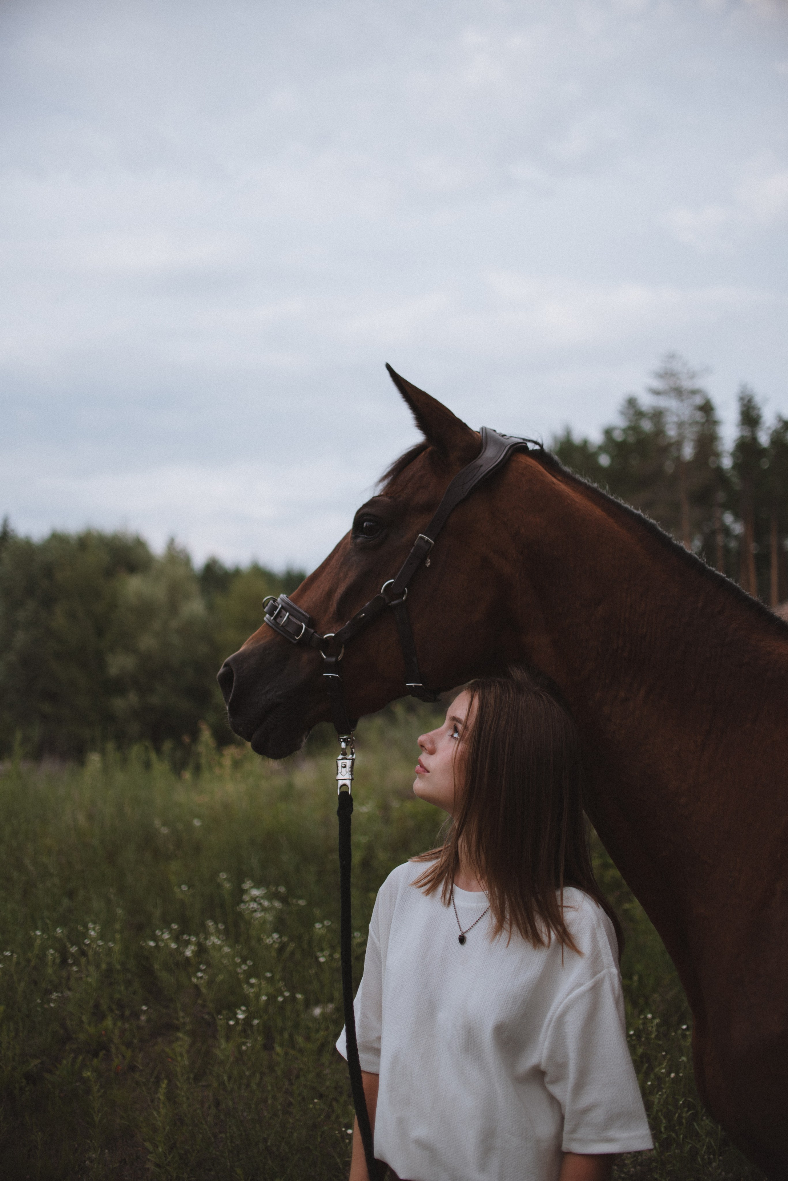 Таня и Гохрида. MariaGohri — Конный фотограф, анималист, Рязань
