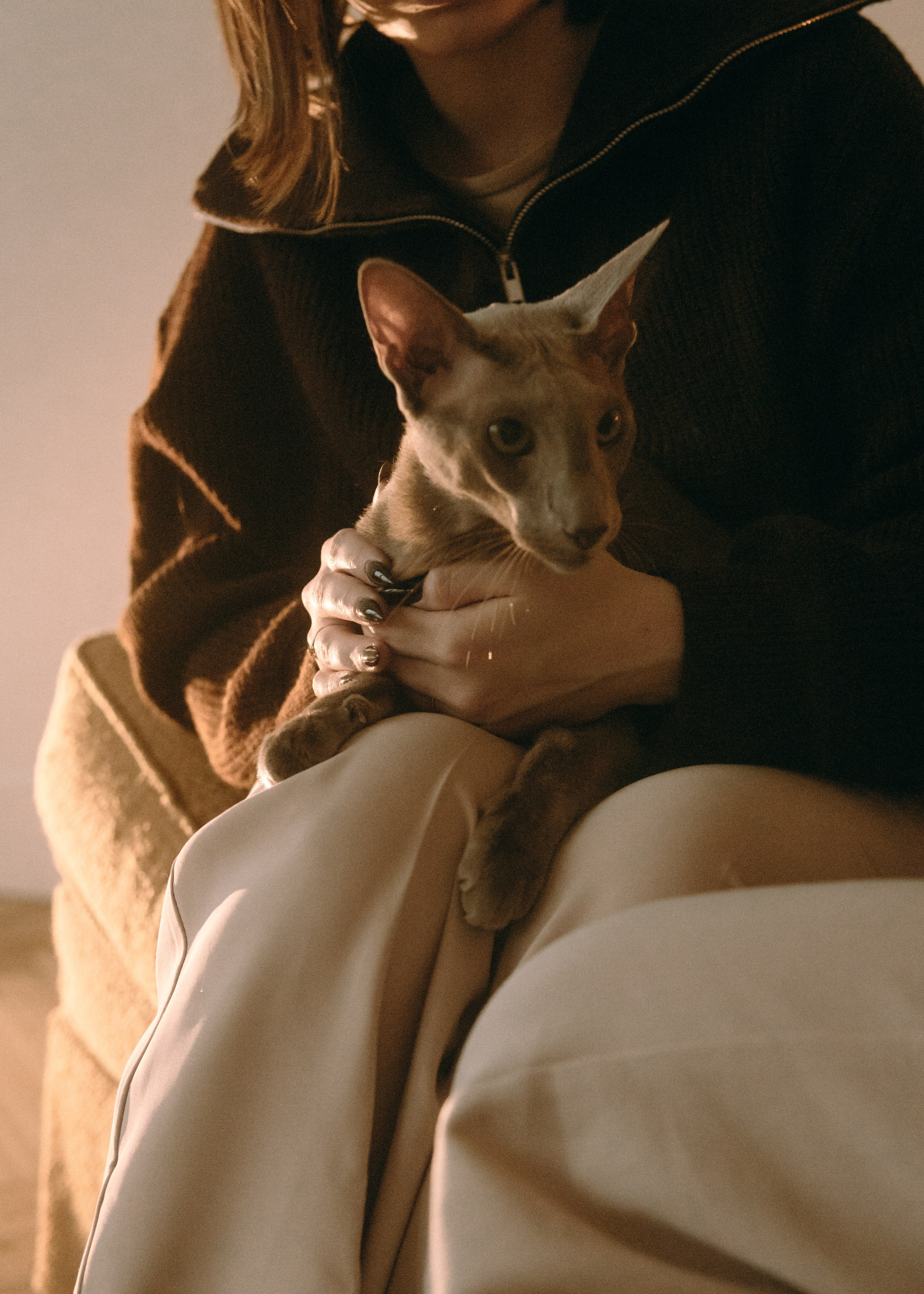 Амина, Булат и Орион. Фотограф-анималист Ксения Воробьева, Москва