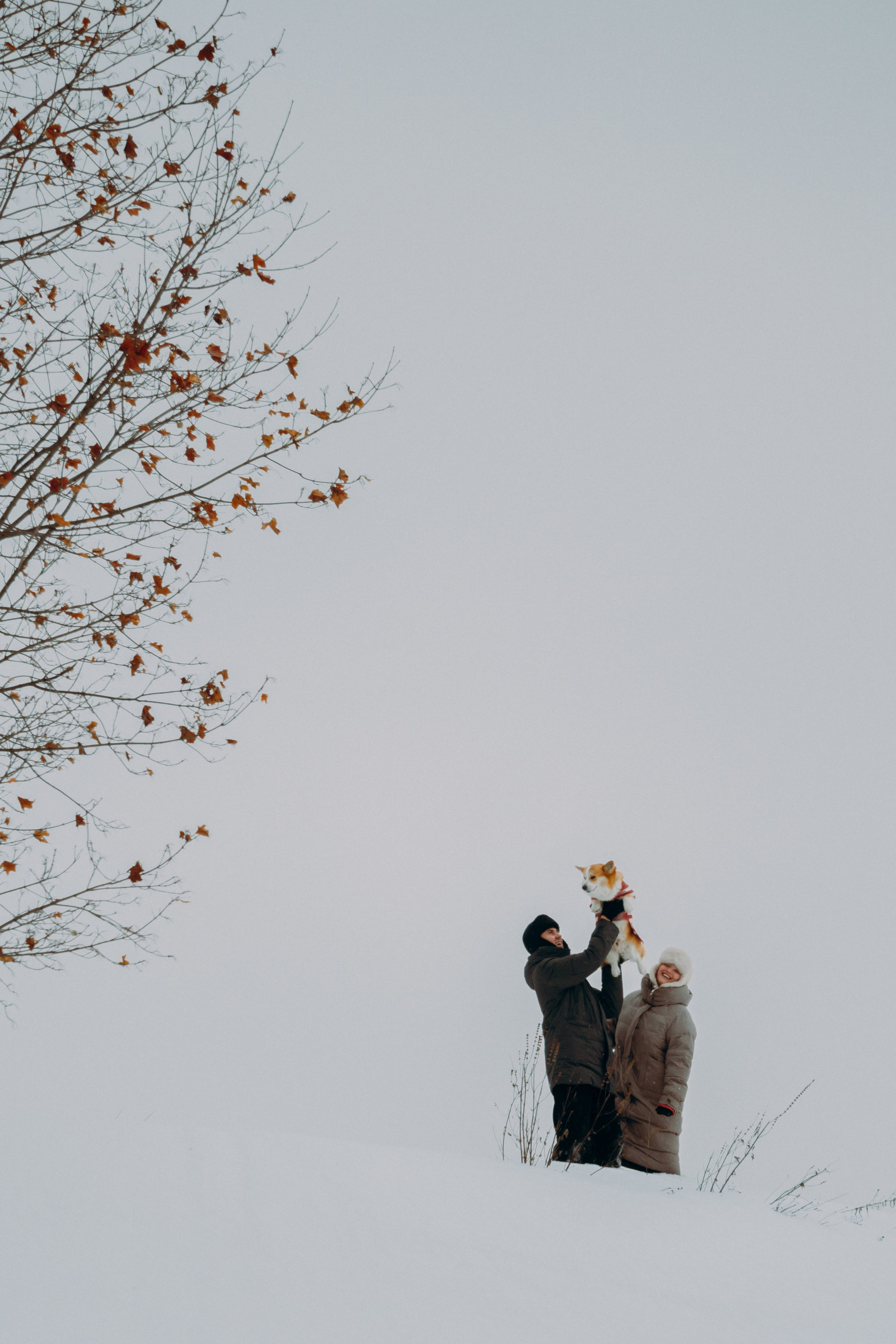 Фотограф-анималист Ксения Воробьева, Москва