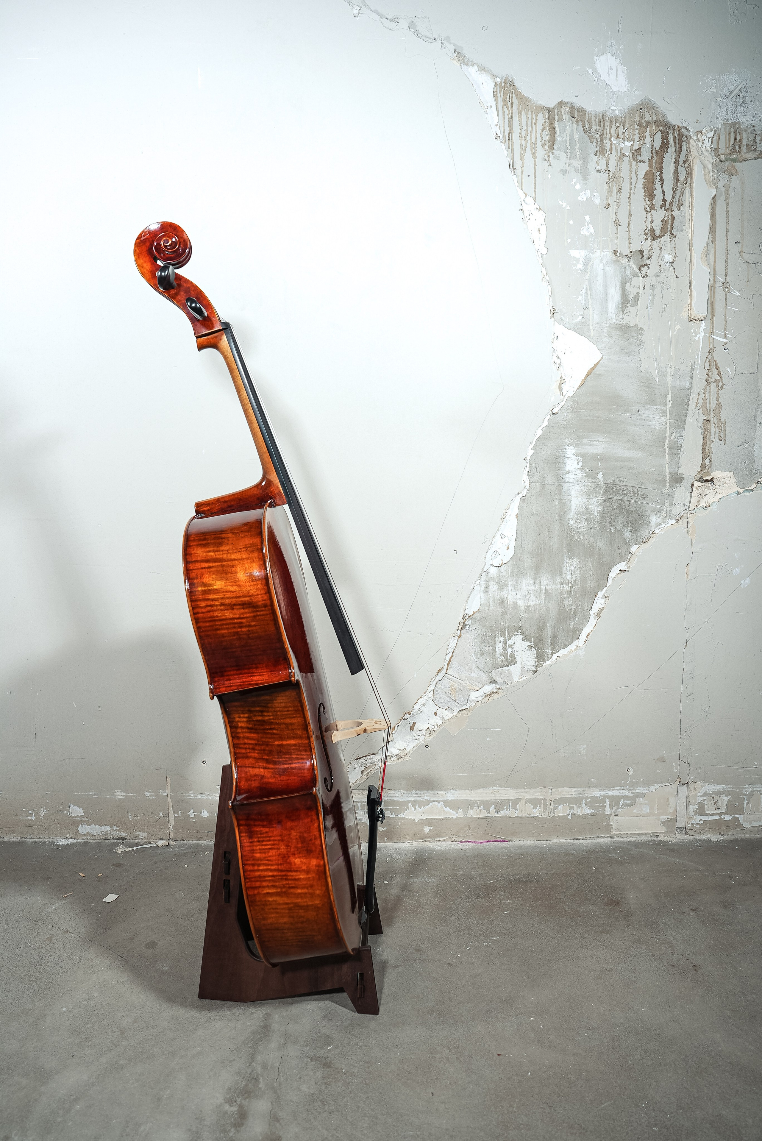 Виолончель | Предметка. ОЧЕНЬ ПЛОХОЙ ФОТОГРАФ