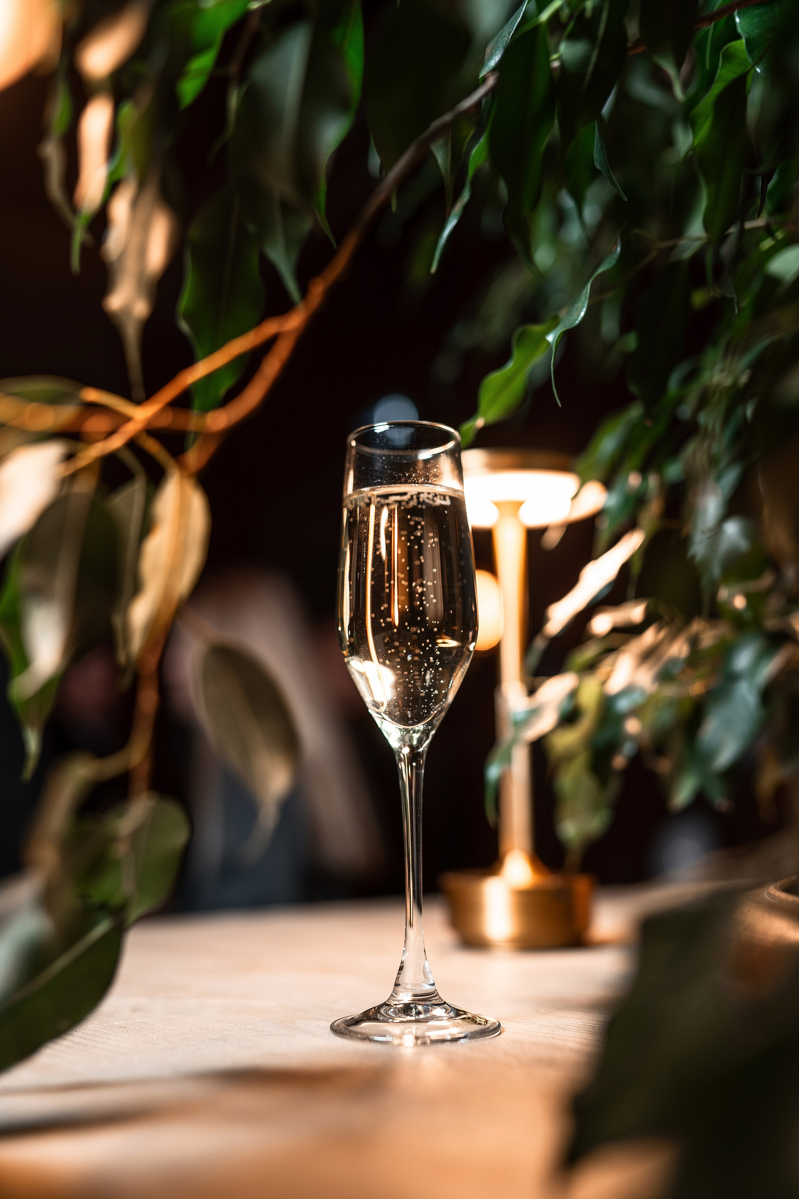 Фотоотчет Сибур. Фотограф Сочи