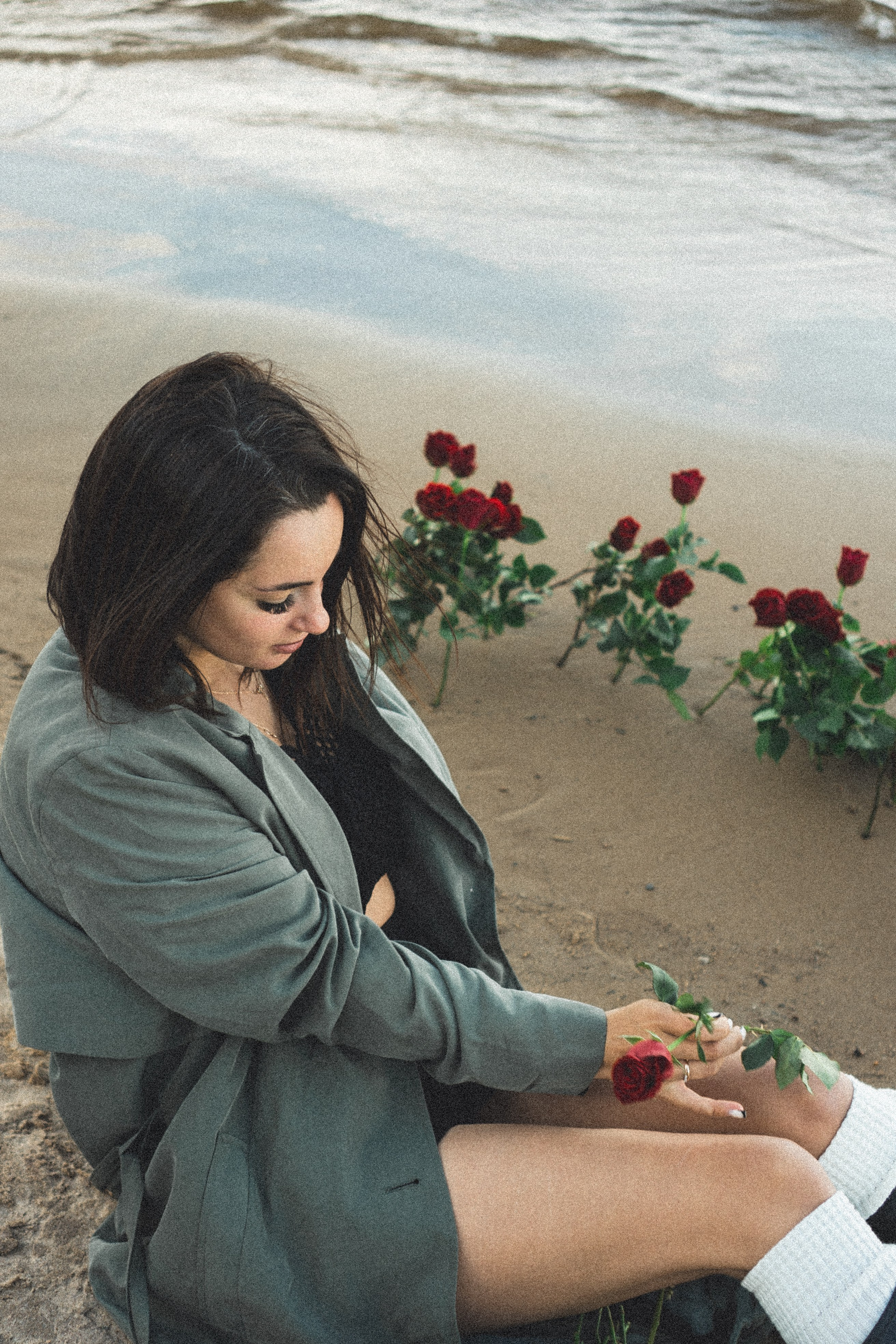 Розы. Профессиональный фотограф, Санкт-Петербург — Виктория Богомолова