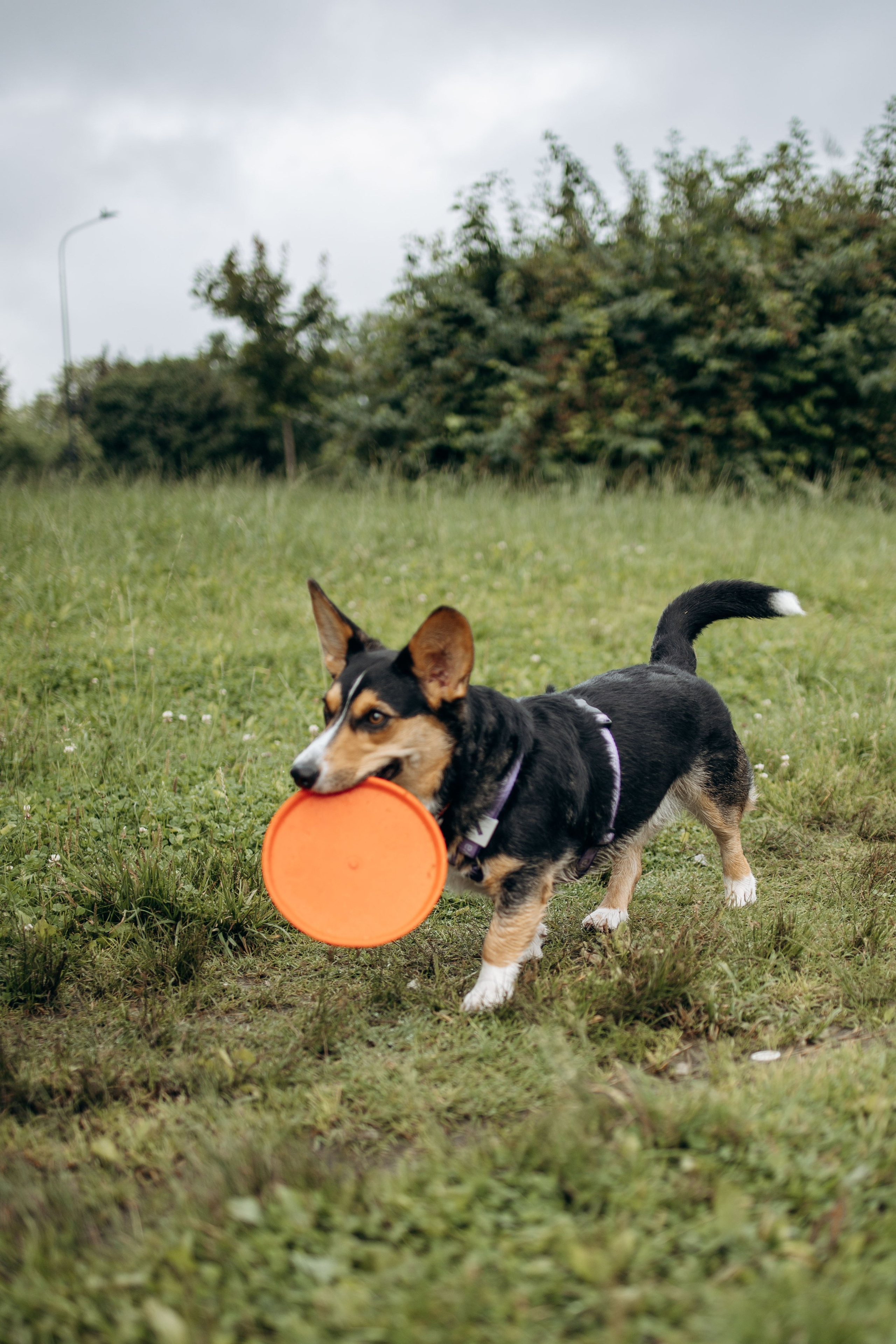 Тамара и Бусинка