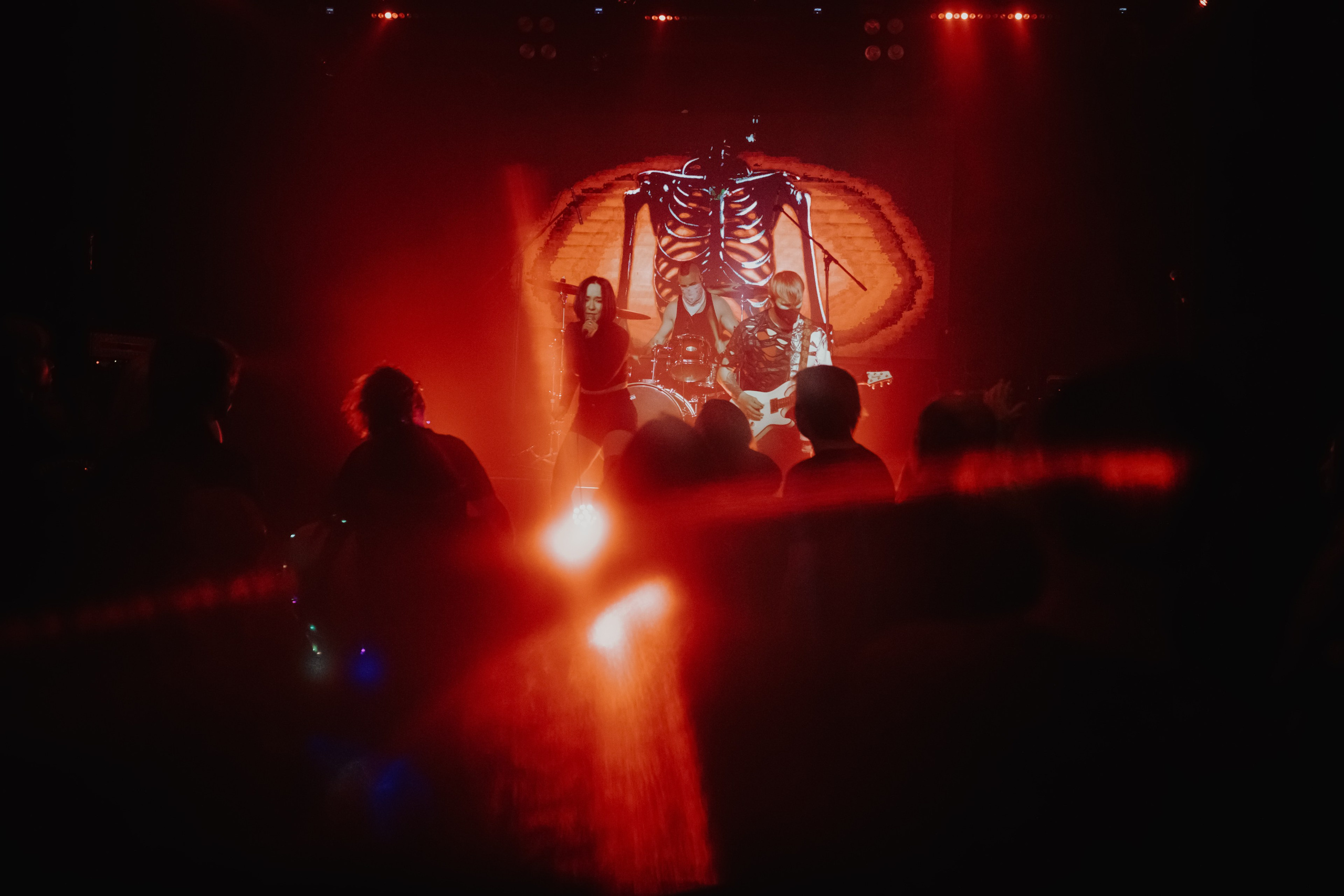 THE KAT IS DEAD. Фотограф Елена Богачева (lenalena_na_na_na)