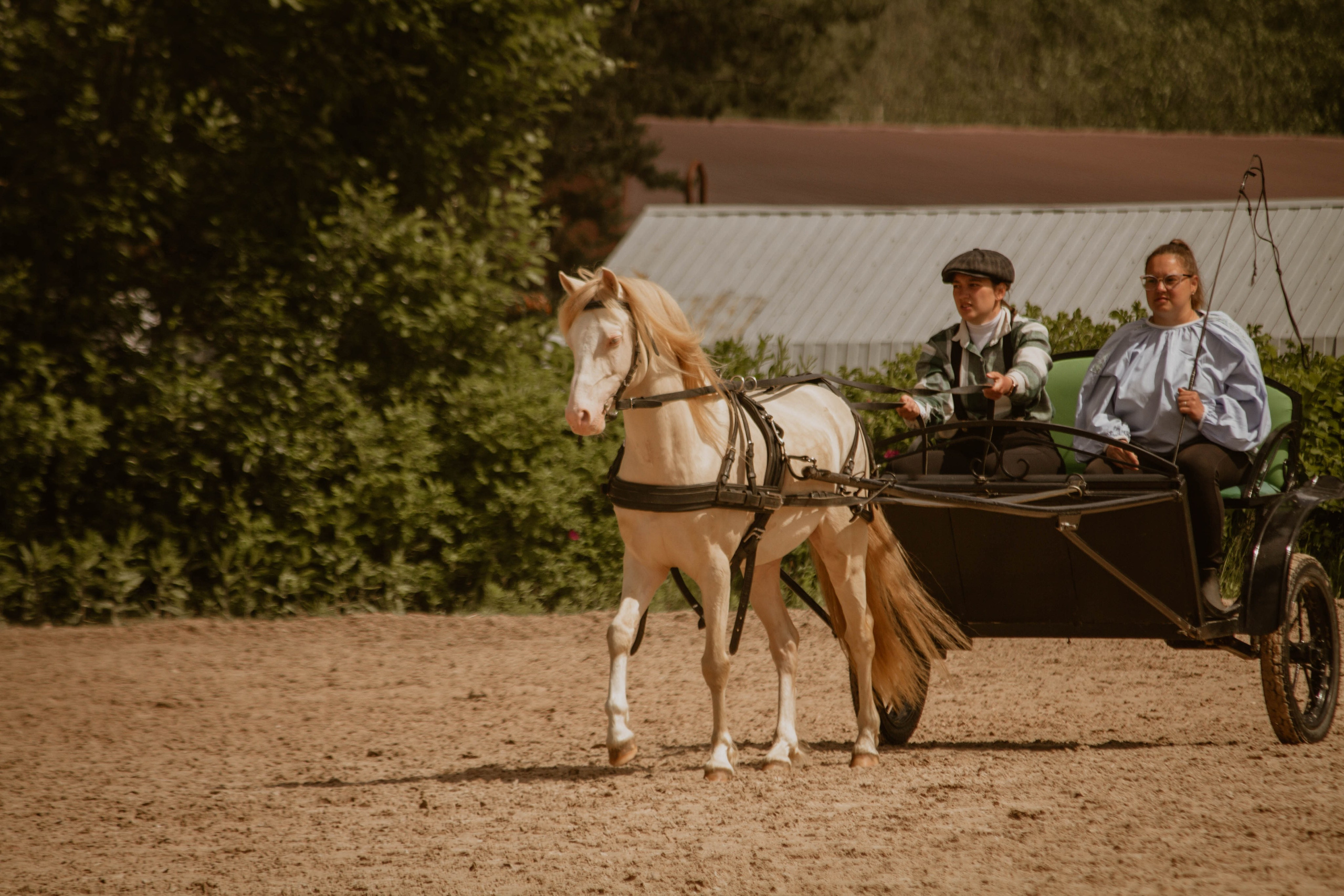 ИППОСФЕРА — Международная конная выставка. Создадим шедевр? Виталина и её фотоискусство