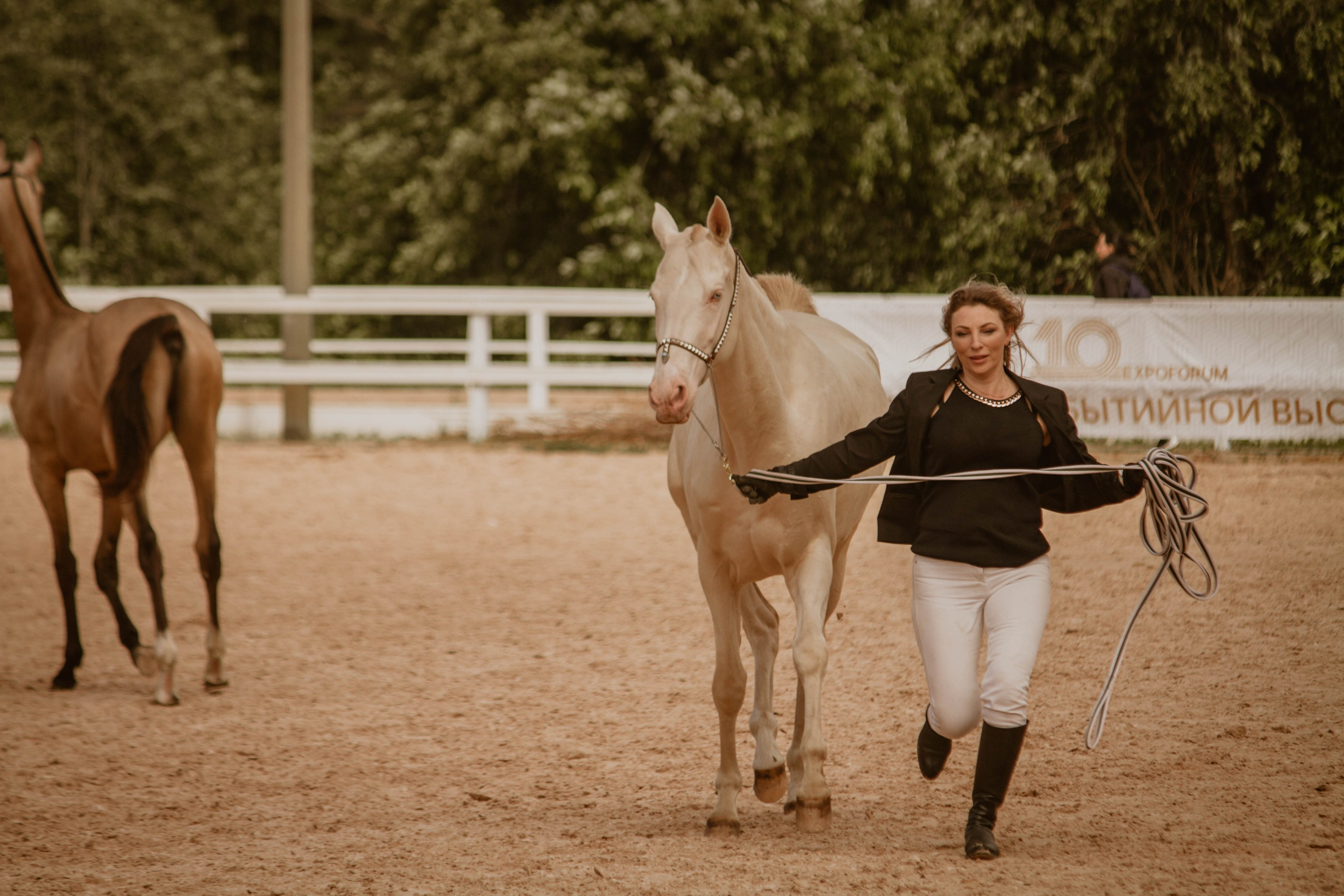 ИППОСФЕРА — Международная конная выставка. Создадим шедевр? Виталина и её фотоискусство