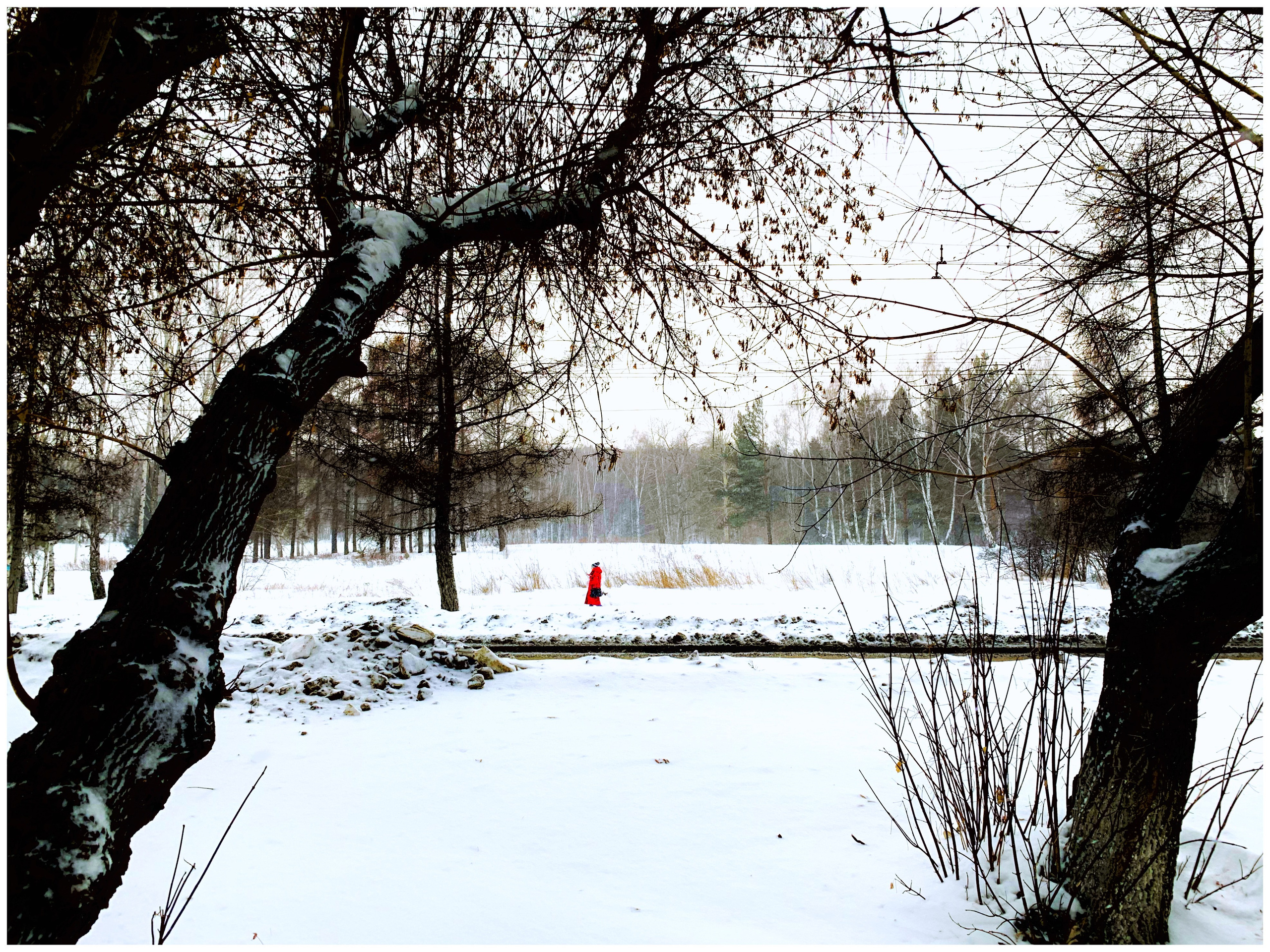 2021. Тащилин Сергей. Фотографии. Жизнь. Хобби