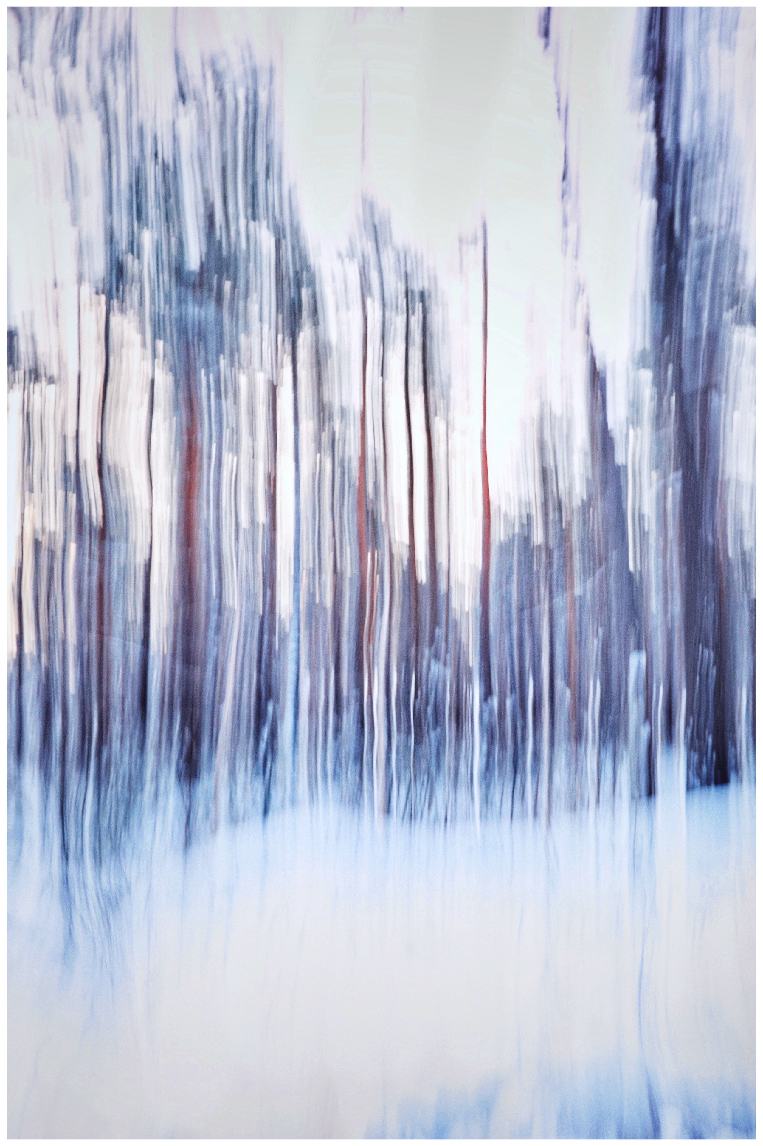 2021. Тащилин Сергей. Фотографии. Жизнь. Хобби