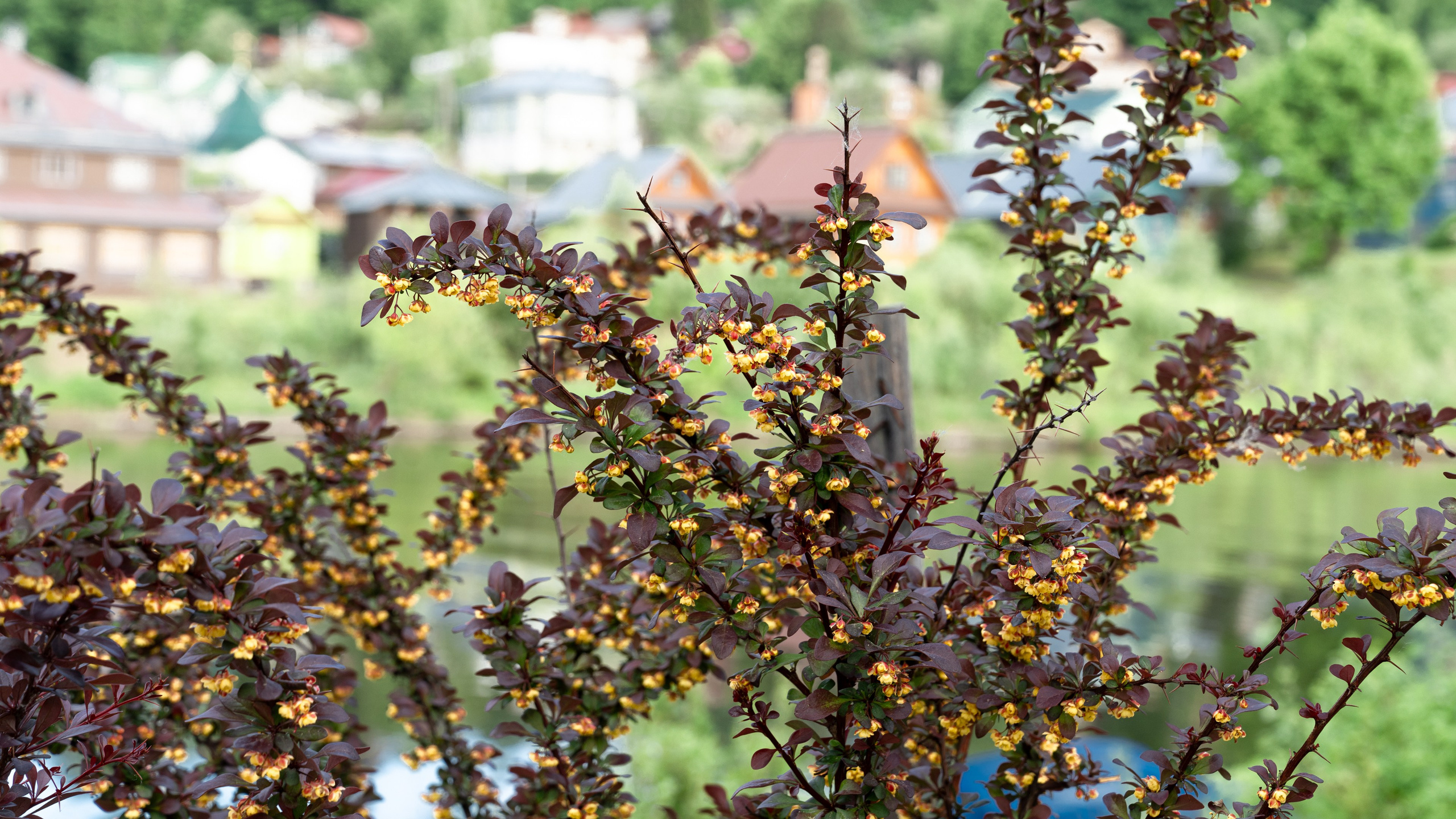 Плёс. ПОБУДЬ ЗДЕСЬ И ЦЕЛЕЕ БУДЕТ ЭТОТ МИР