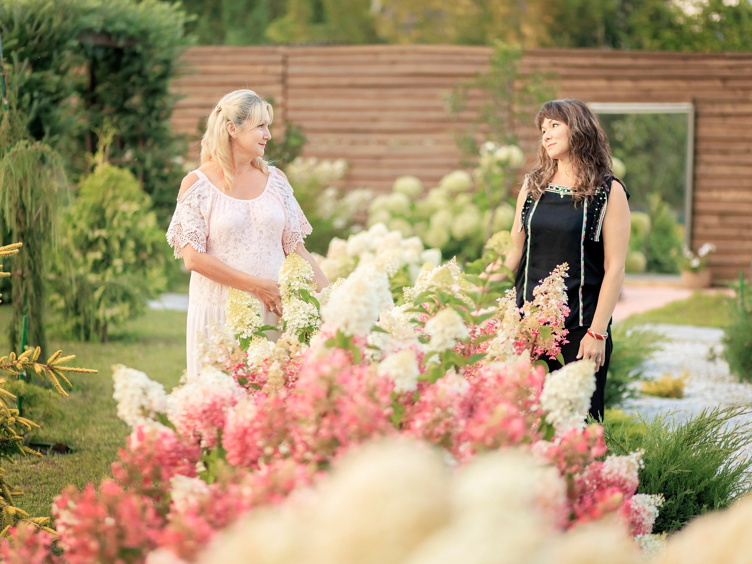 Цветочные истории. Фотографирую в парке-заповеднике «Купидон»