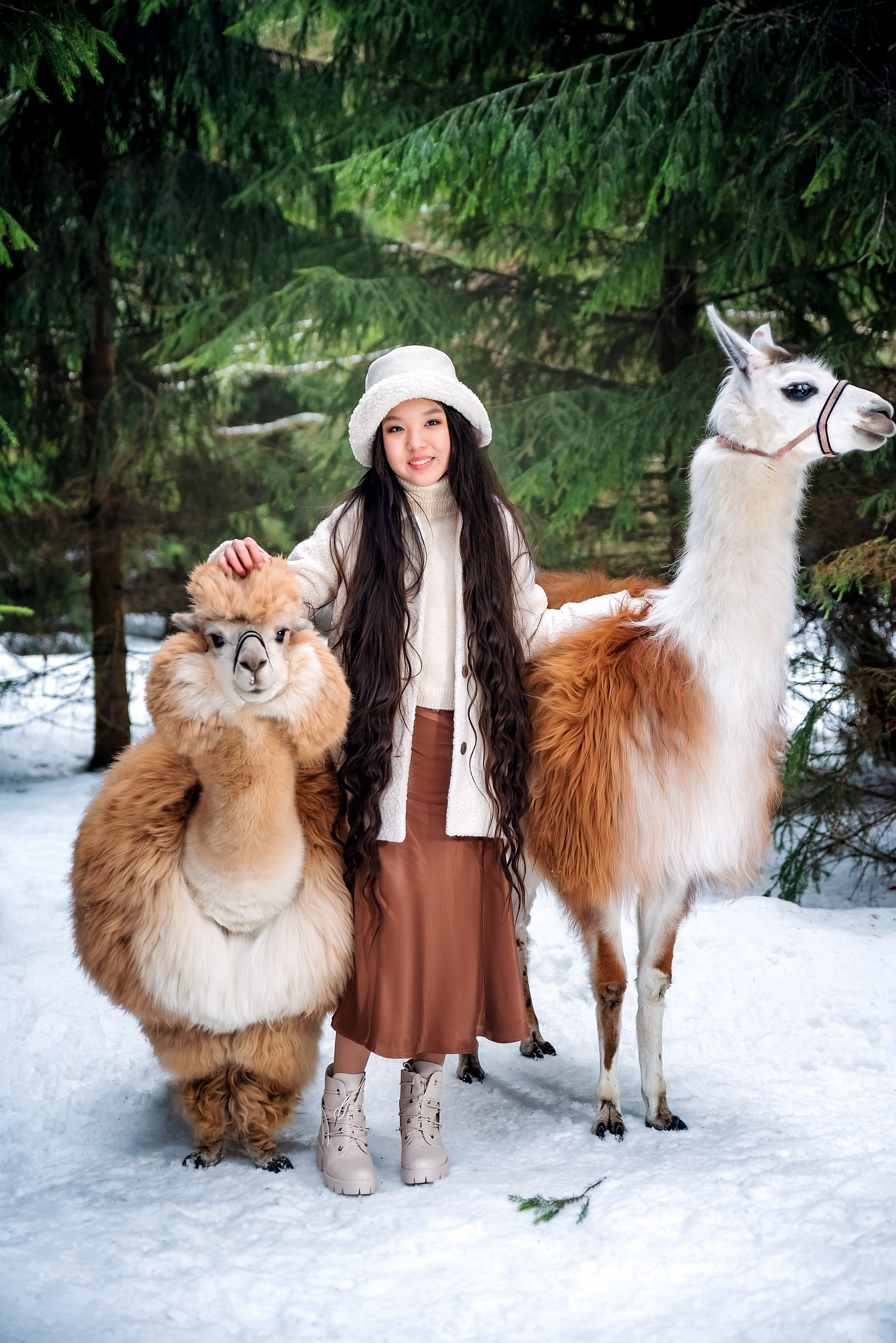 Альпаки. Фотограф в Москве Lidiya_Li_Photo