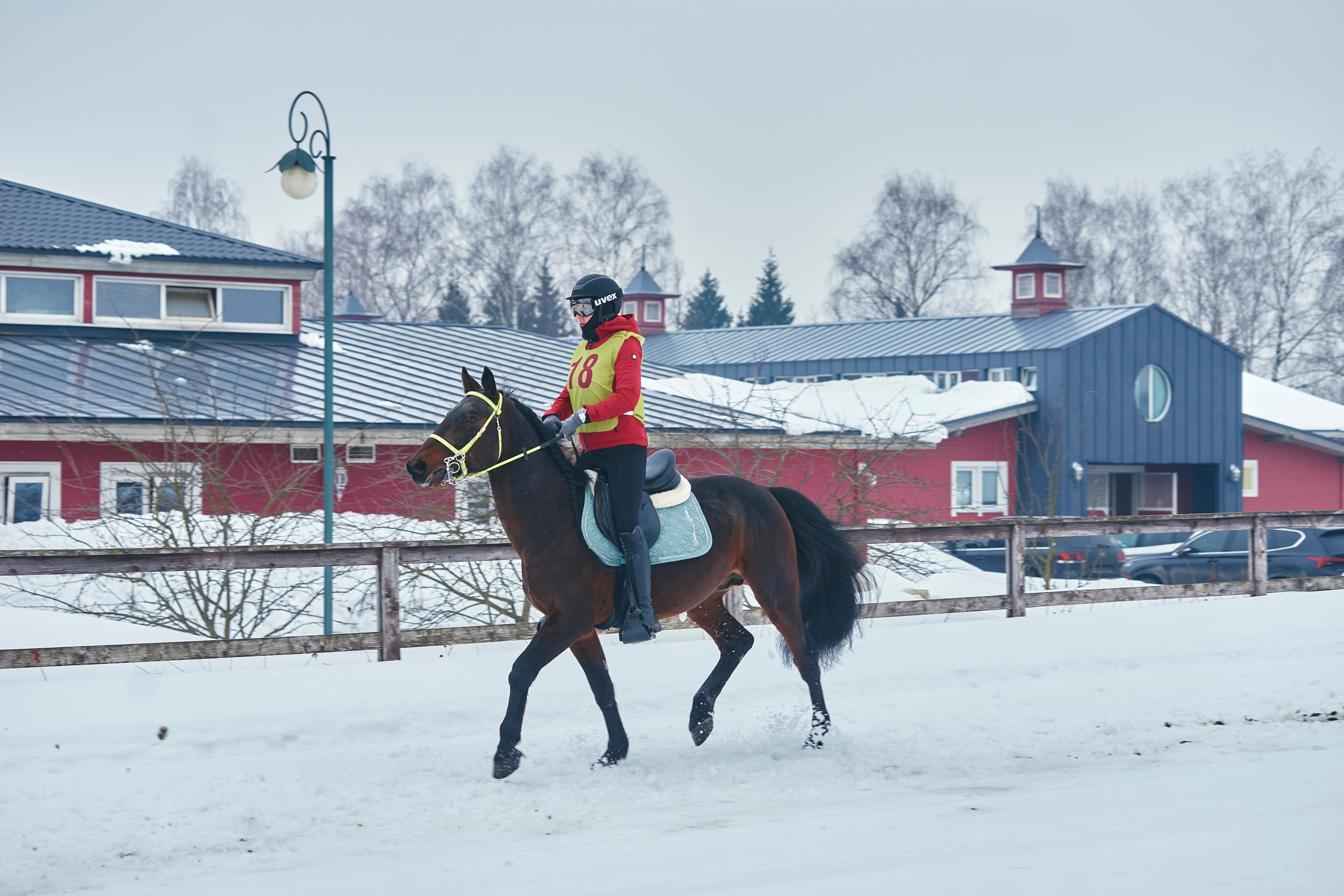 HORSE RACING. Фотограф Наталья Леонова