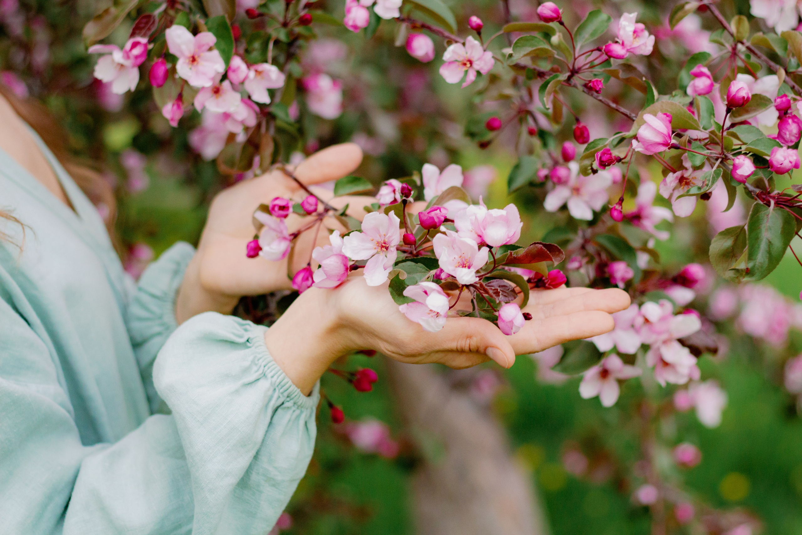 Фотосессия с цветущими яблонями, Екатеринбург. Фотопрогулка. Фотограф в Екатеринбурге Пойгина Елена