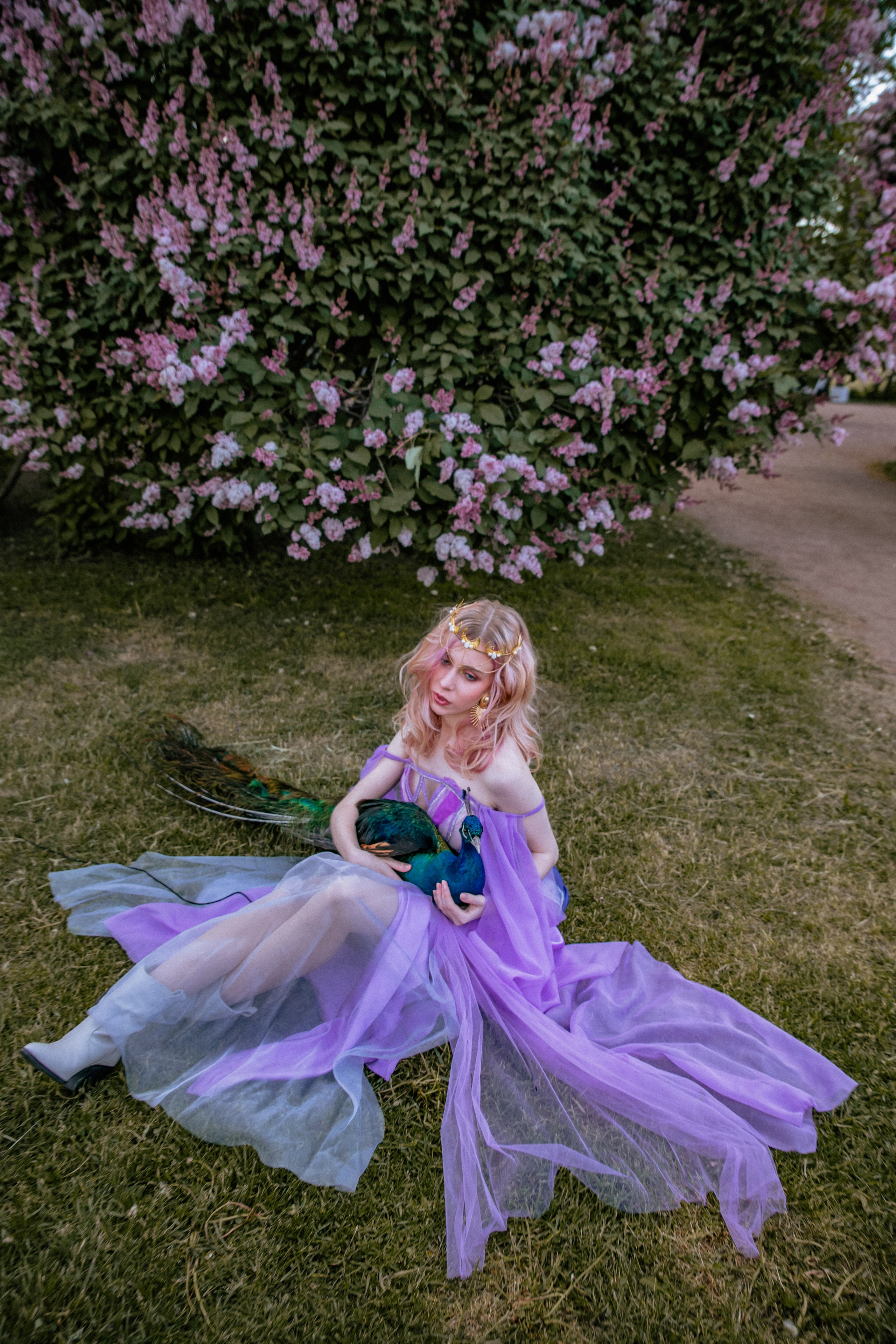 Павлин. Elena Sova — семейный и женский фотограф в Санкт-Петербурге