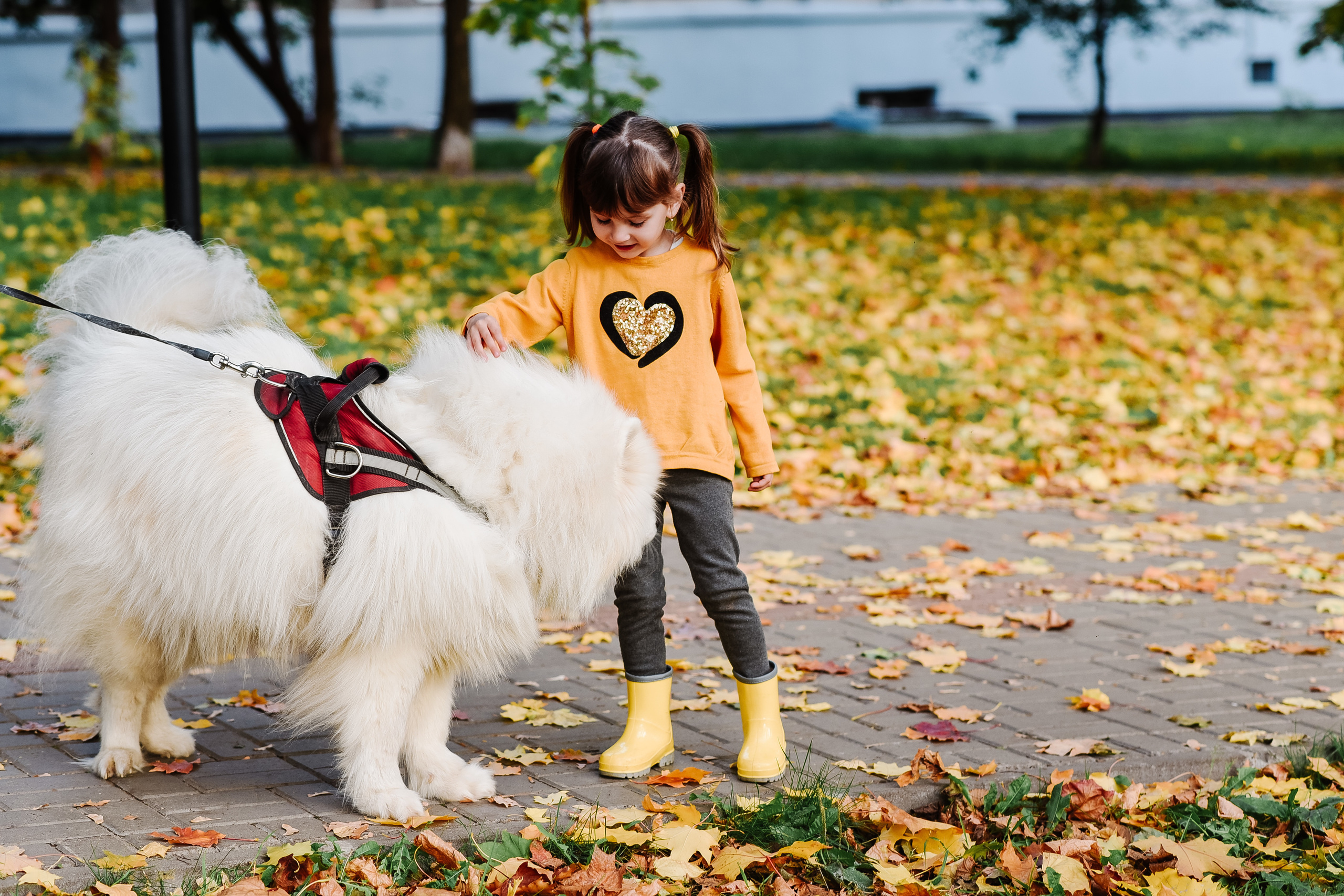 Анонс осенней фотопрогулки. Фотограф Екатерина Шереметова Ижевск Сарапул Воткинск