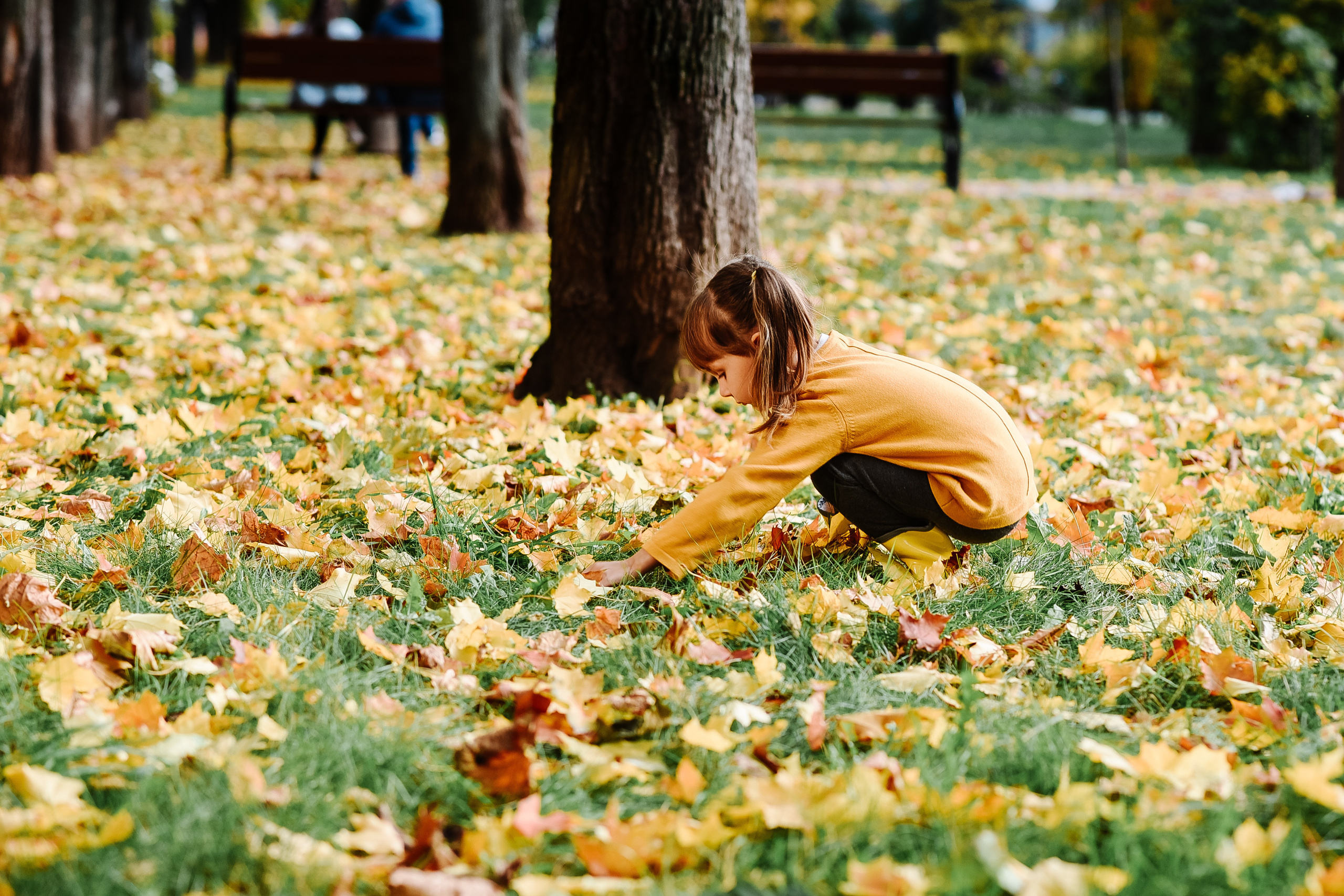 Анонс осенней фотопрогулки. Фотограф Екатерина Шереметова Ижевск Сарапул Воткинск