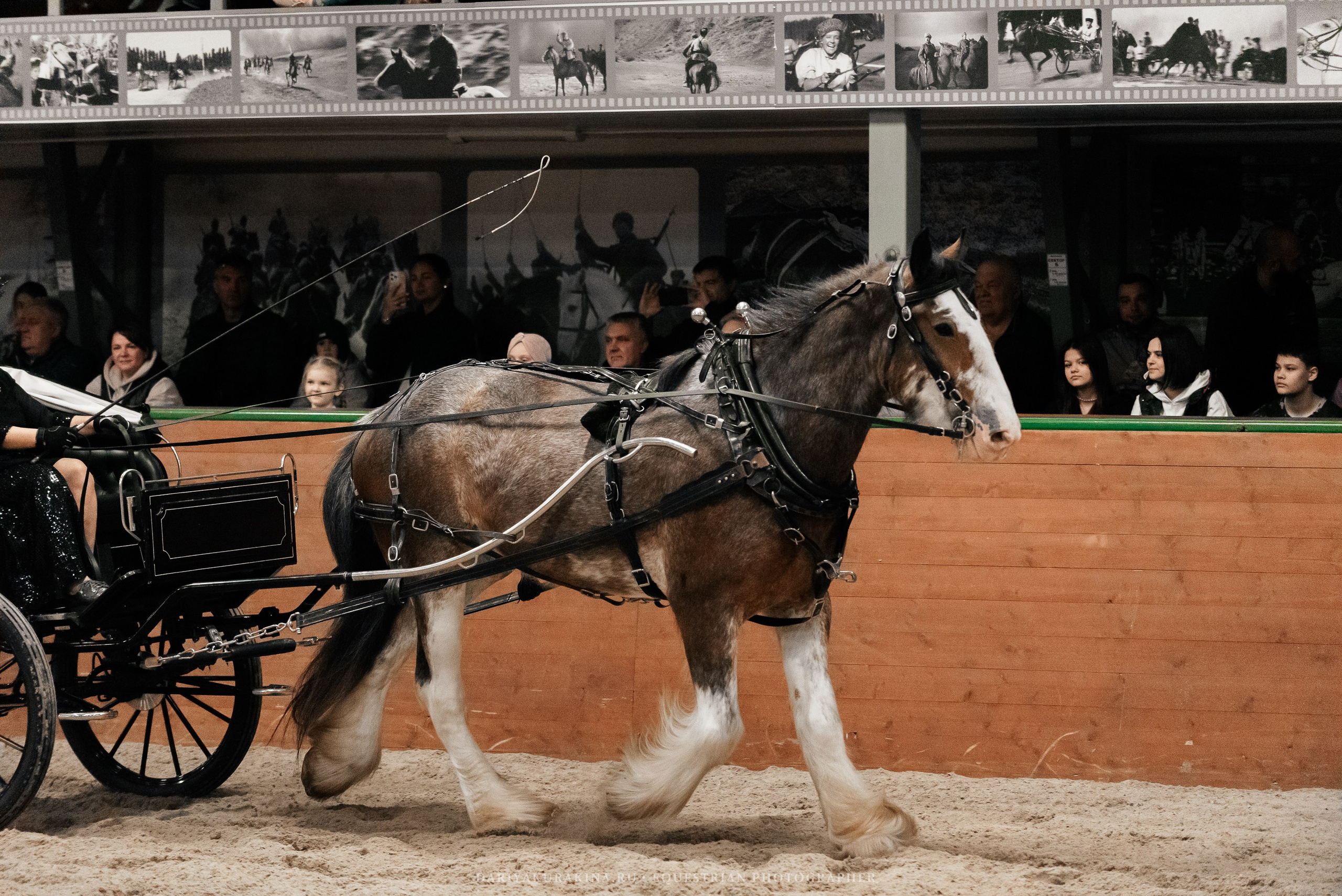 Конное представление «Дыхание Звёзд». Конный фотограф Куракина Дарья • Фотосессии с лошадьми