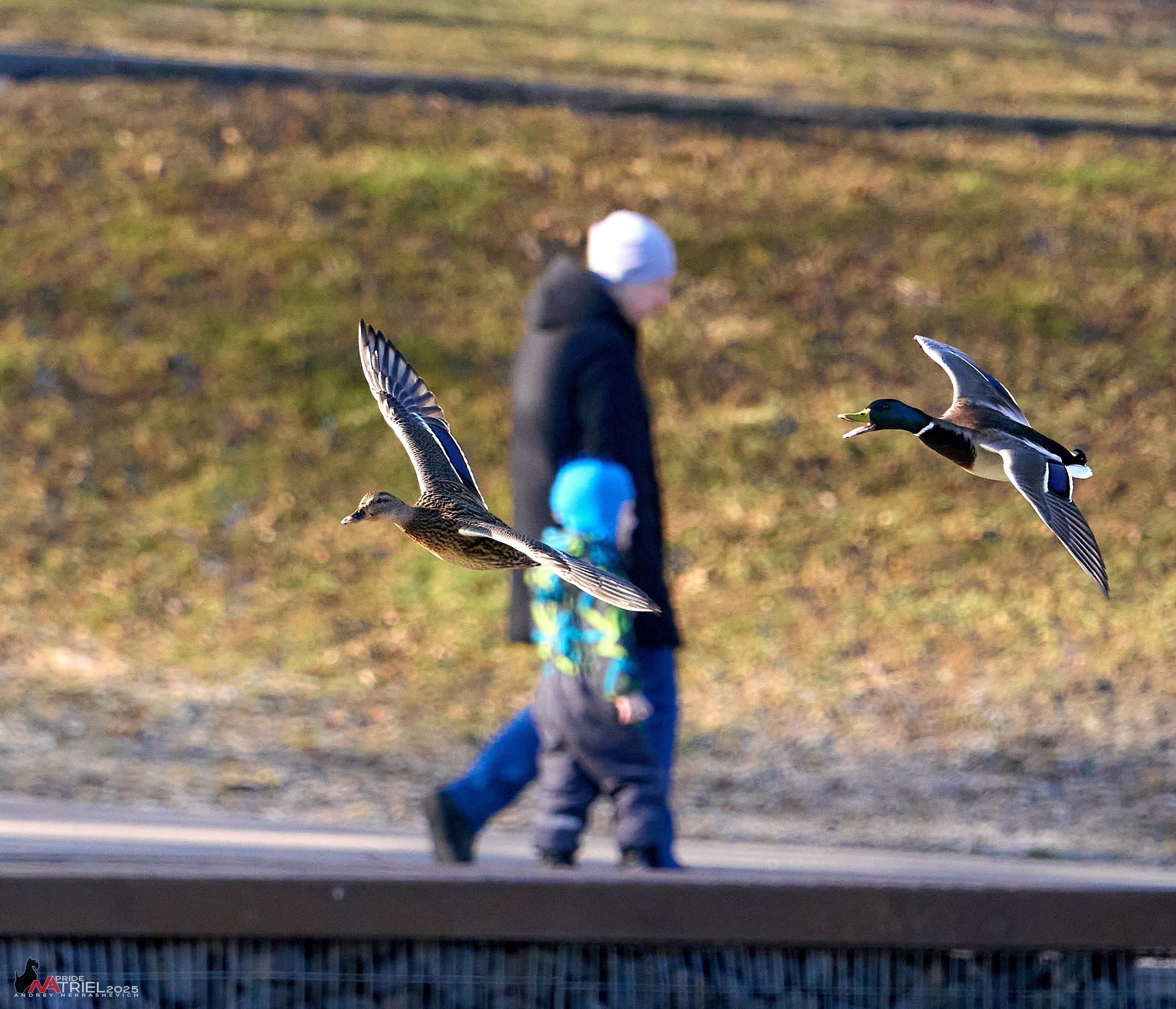 Фотопрогулка в Бутово