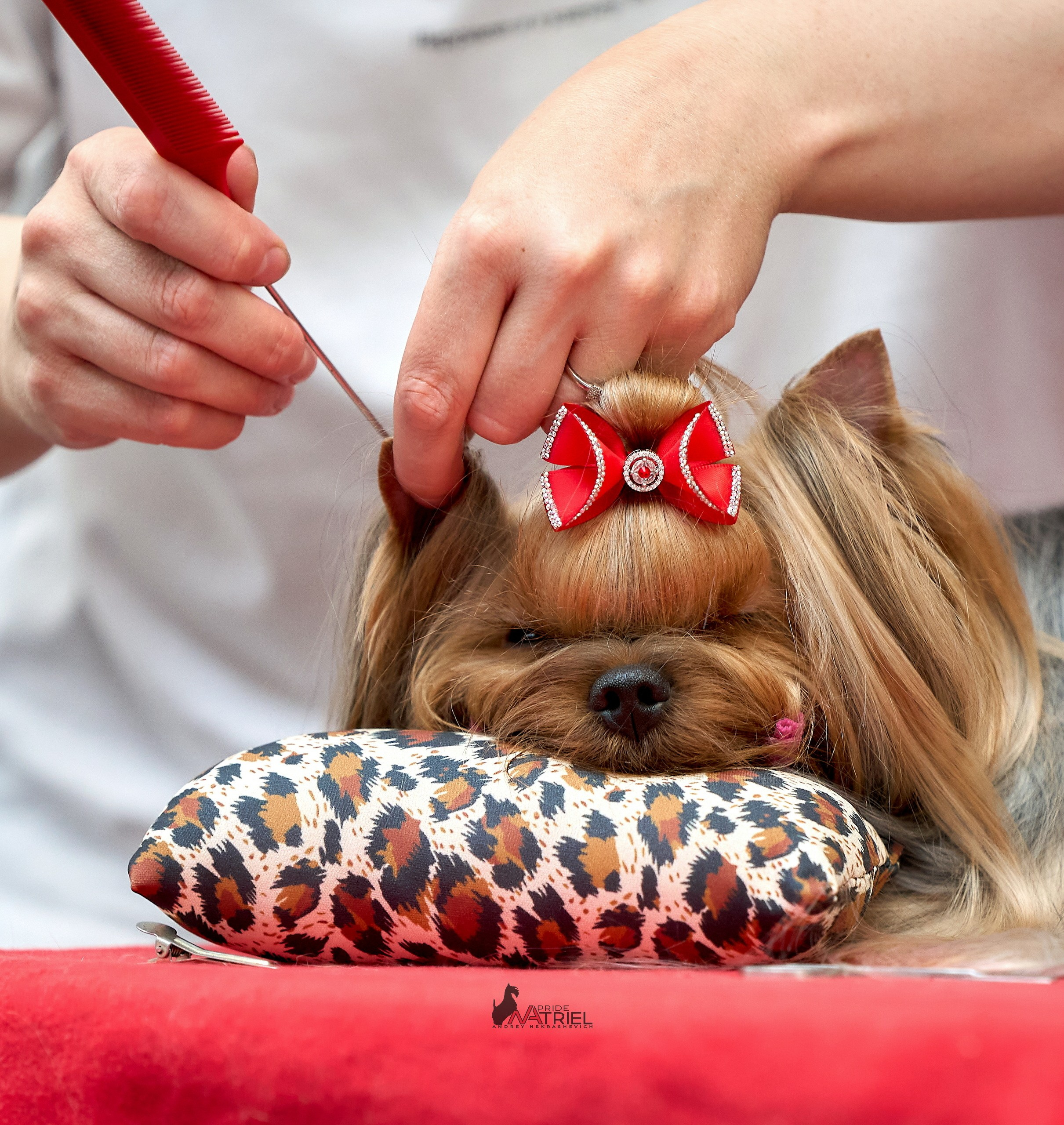 Картинки с выставки — галерея NATRIEL