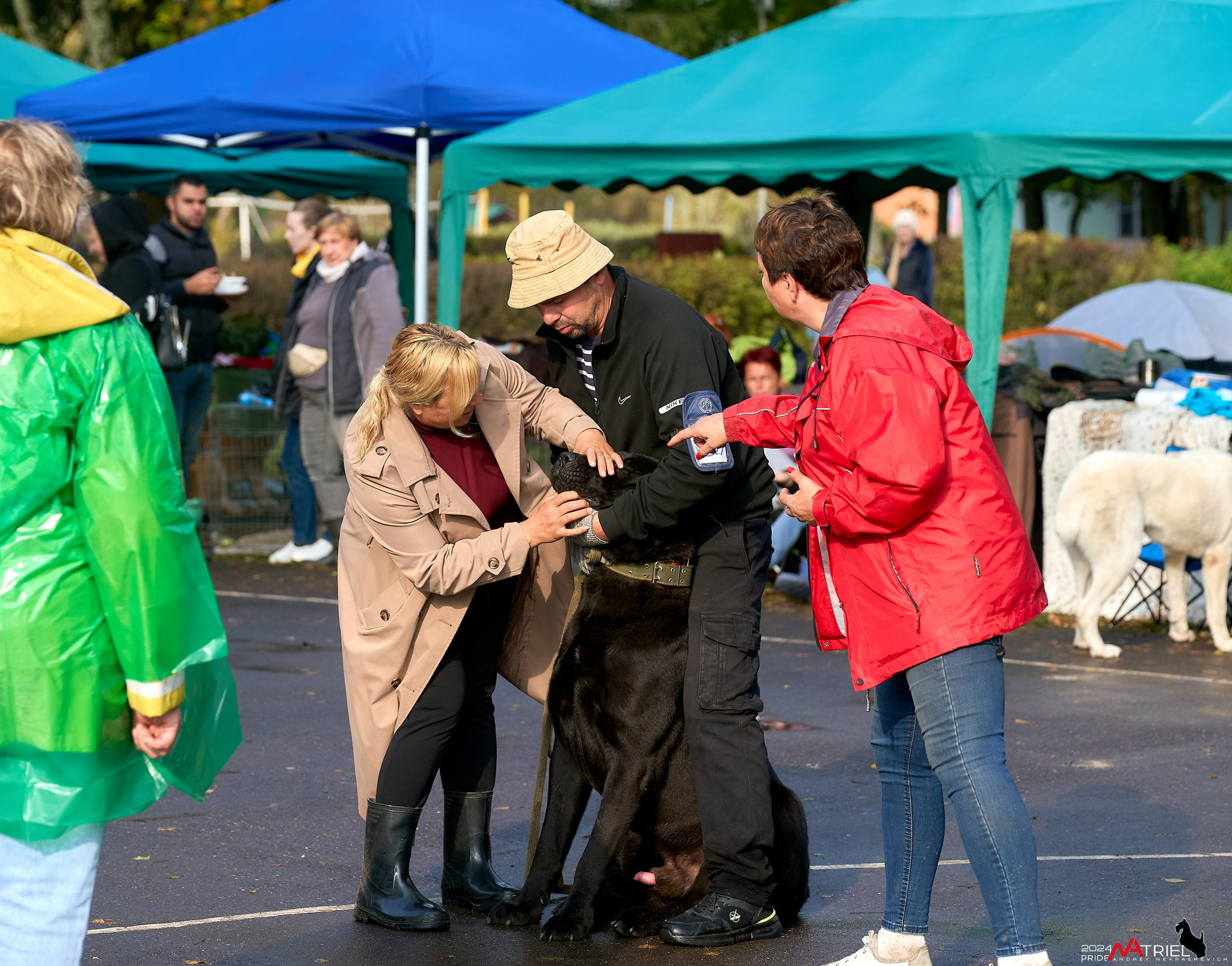 Съемка на выставке САО в Александров