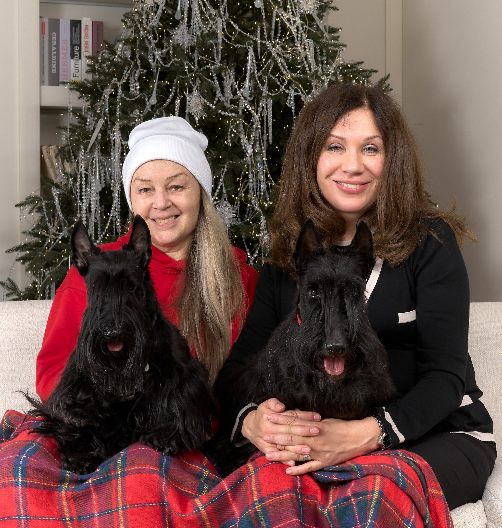 Семейная съемка с собаками в студии