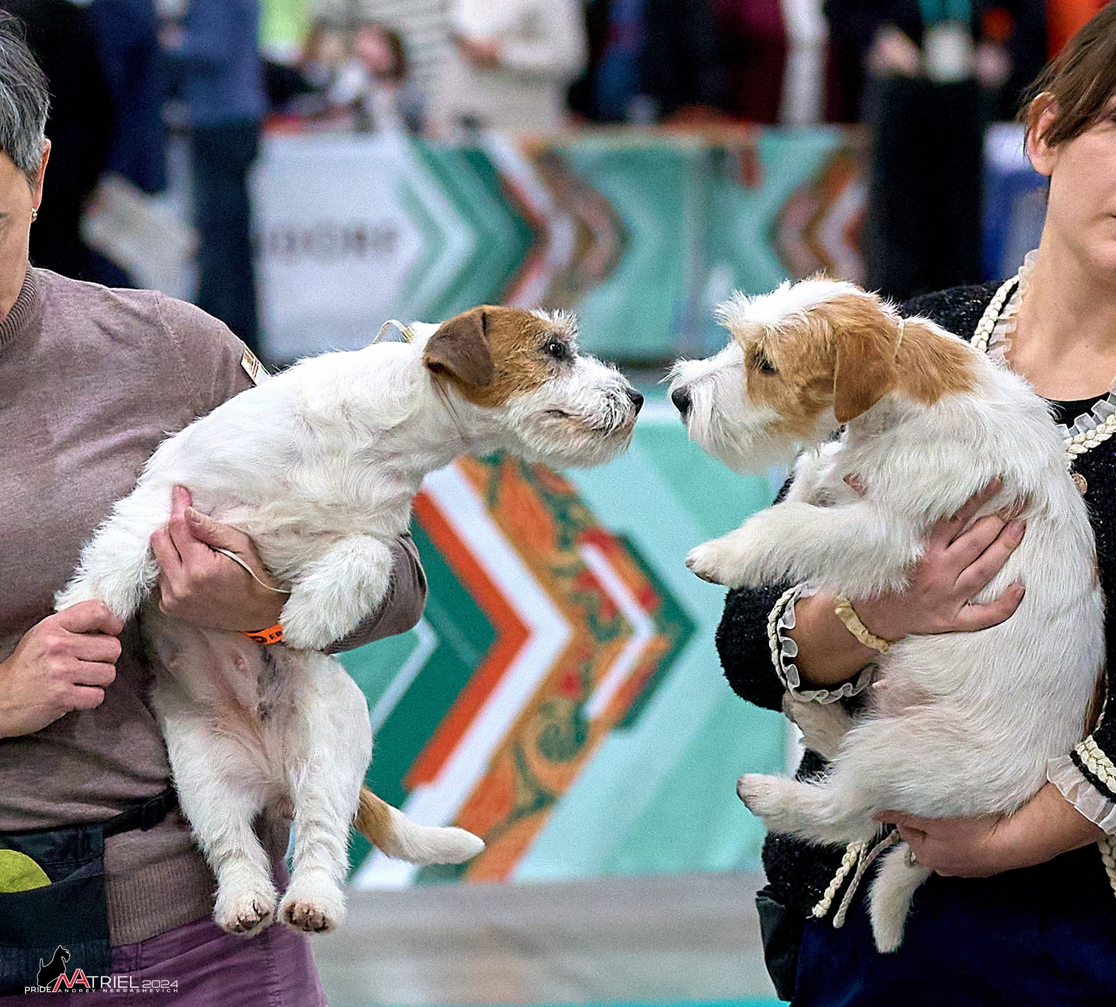 Съемка на выставке ЕВРАЗИЯ-2024