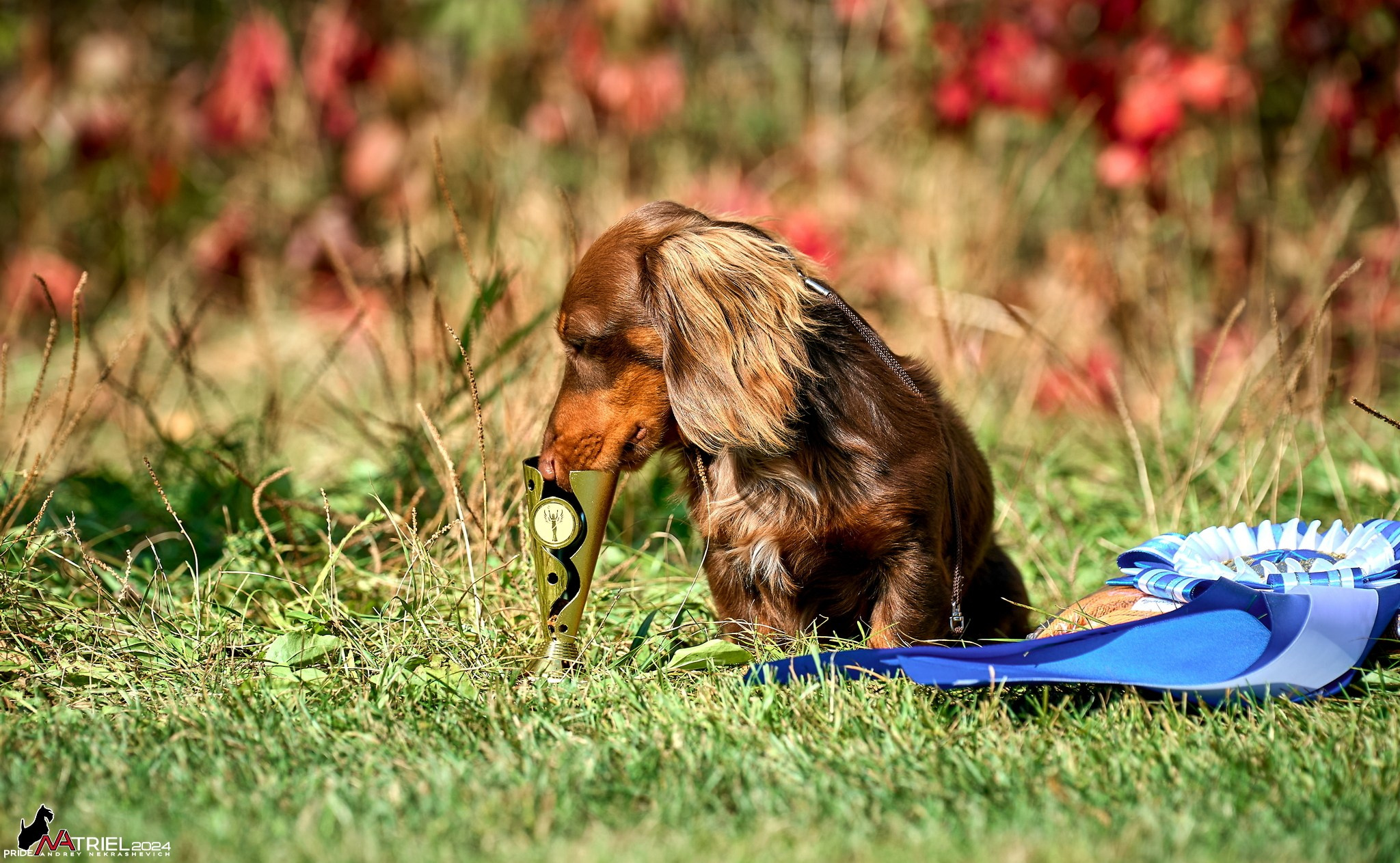 Съемка на выставке в Электросталь