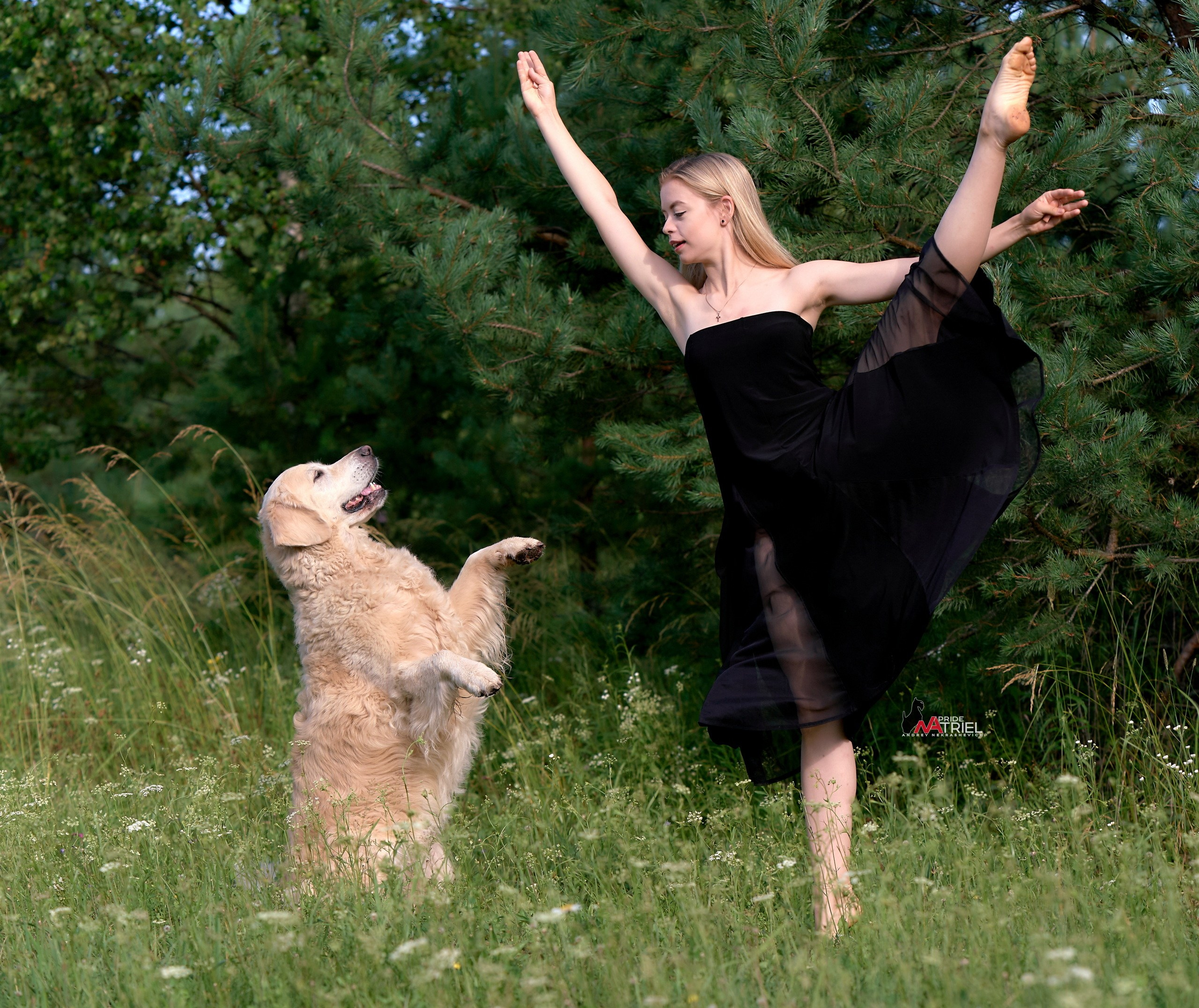 Обидиенс и танцы с собаками — галерея NATRIEL