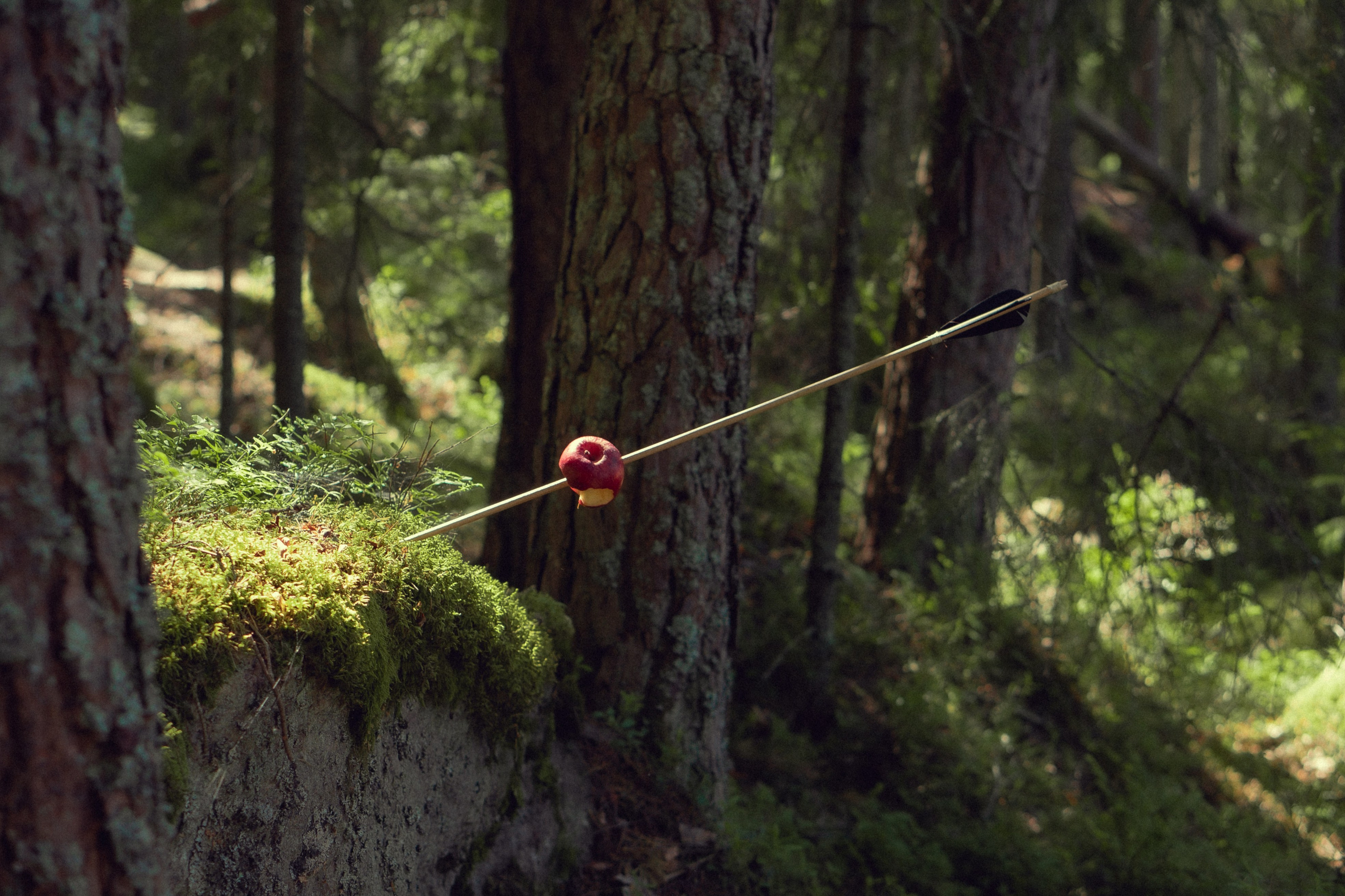 Храбрая Сердцем. Художественный фотограф Салаева Алина