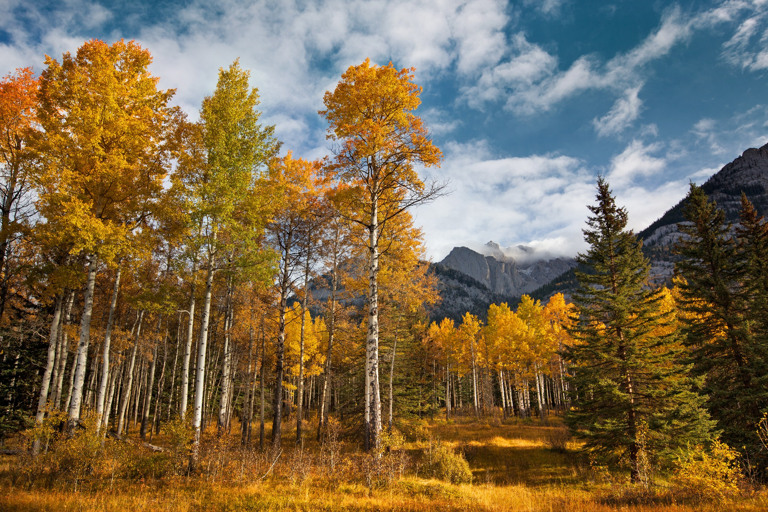 Канада. Фотограф Владимир Медведев