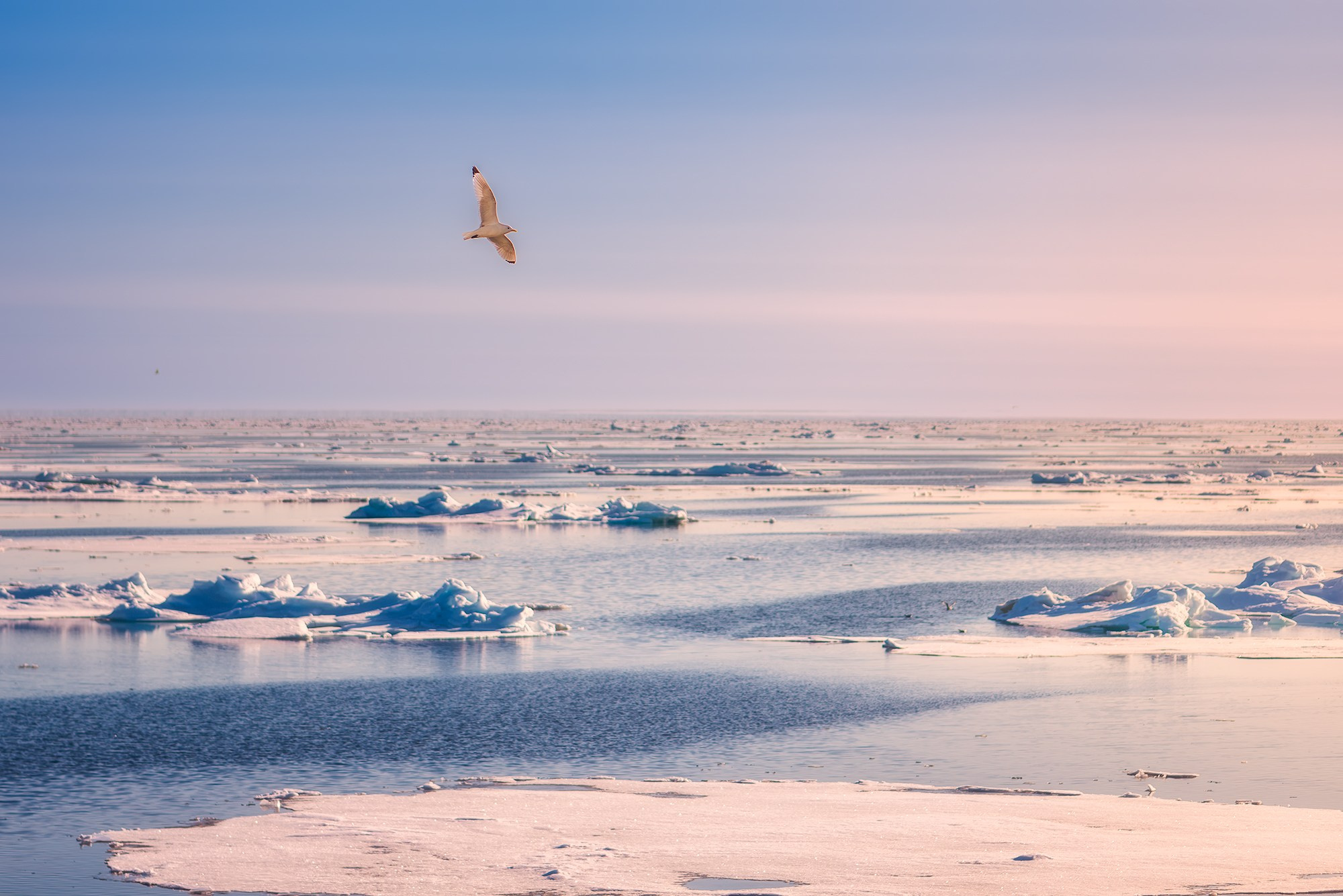 Арктика. Аэросъемка в Архангельске, Александр Ермолин