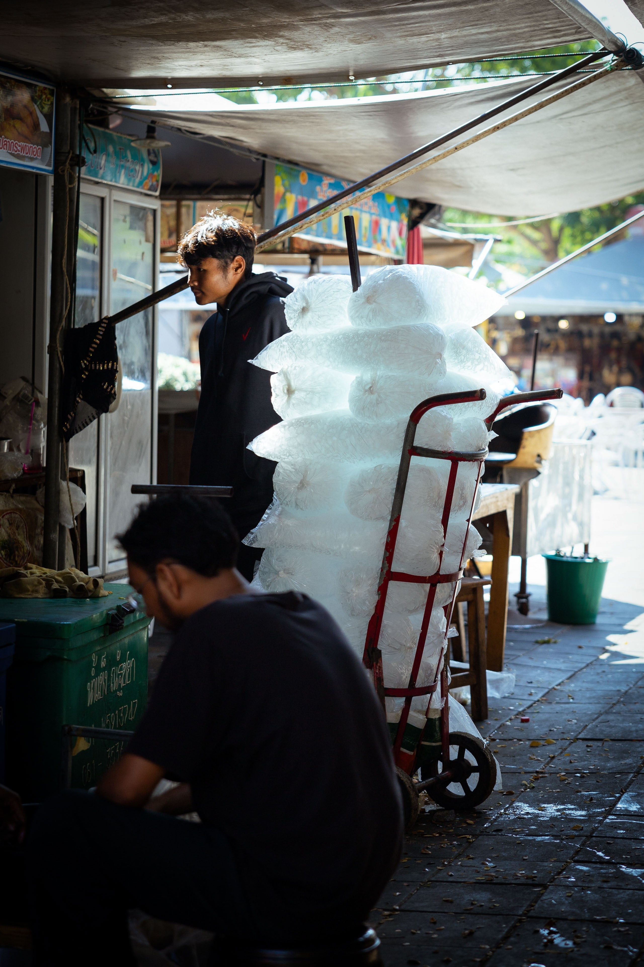 Таиланд (зима 2025). Фотограф Виноградов Константин