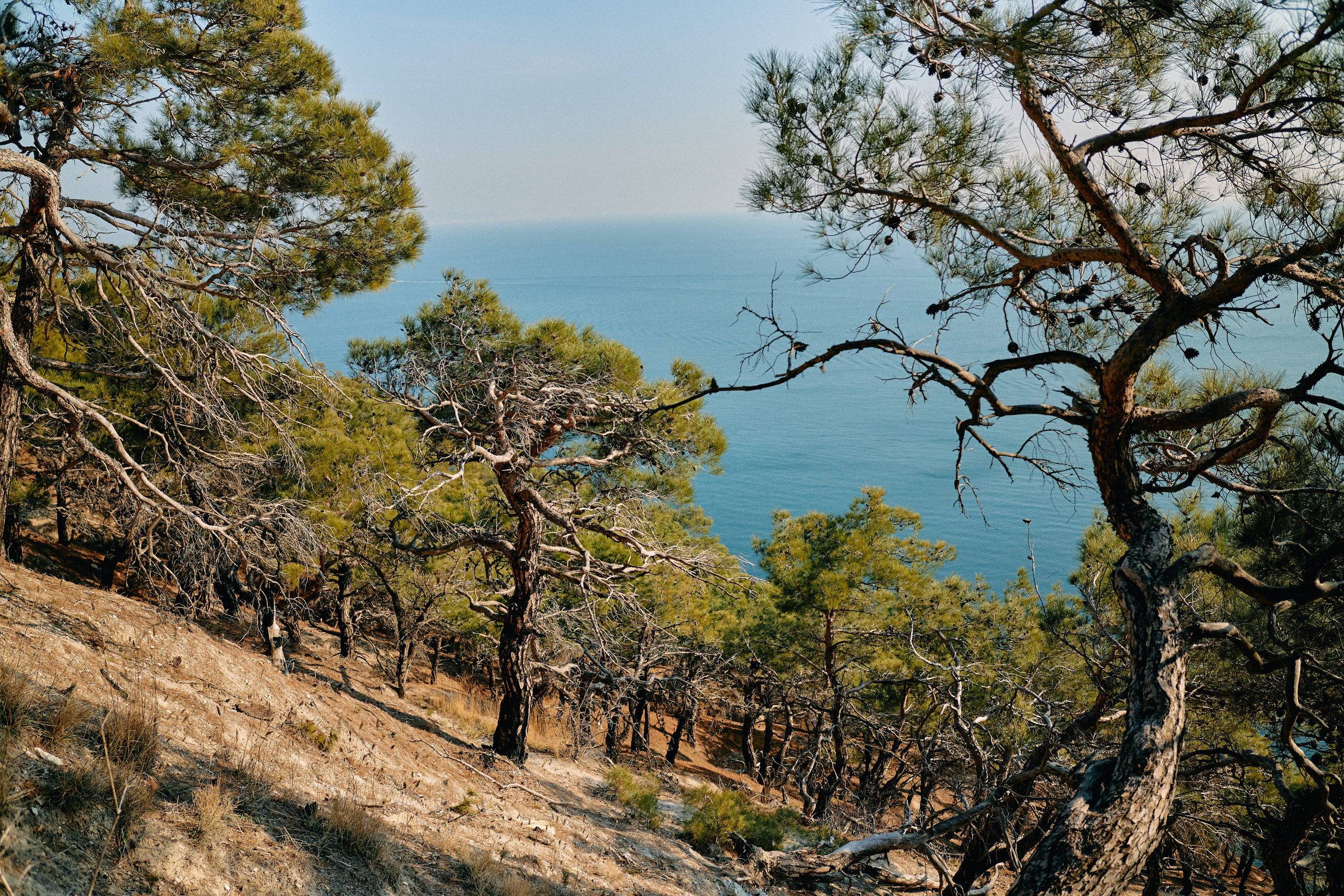 Юг России. Профессиональный Фотограф во Владимире, в Москве и в Суздале — Полина Романычева