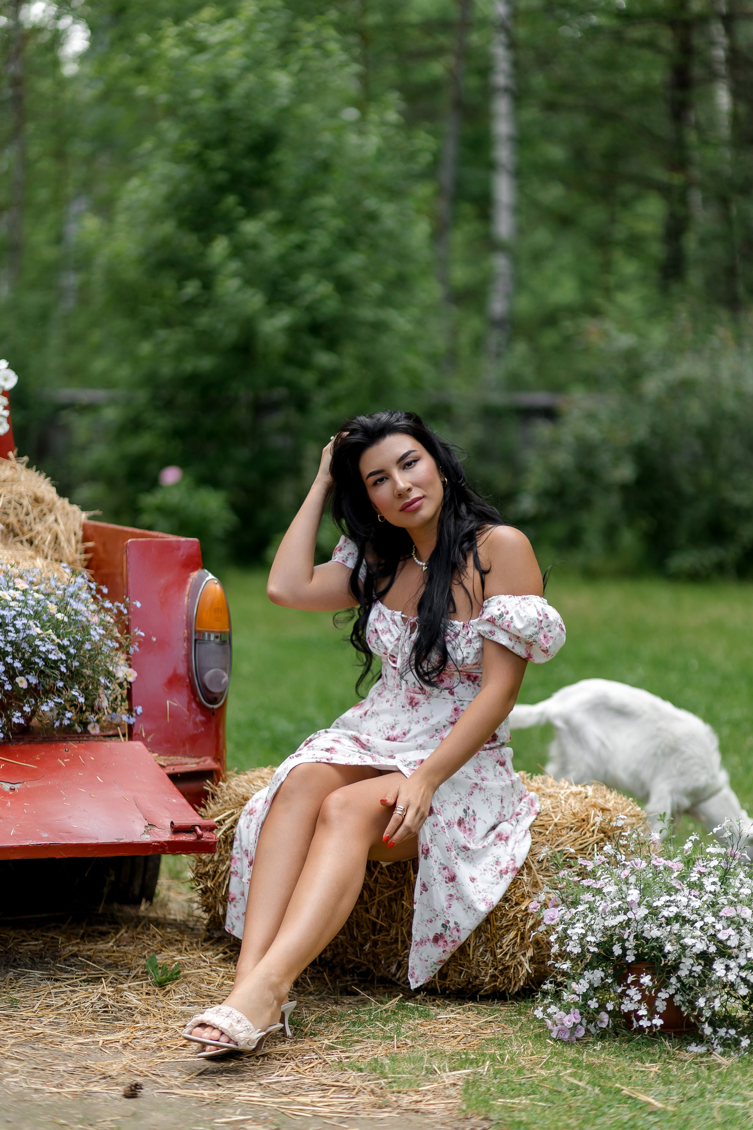 LavkaLes. Свадебный и семейный фотограф Динар Гильмутдинов