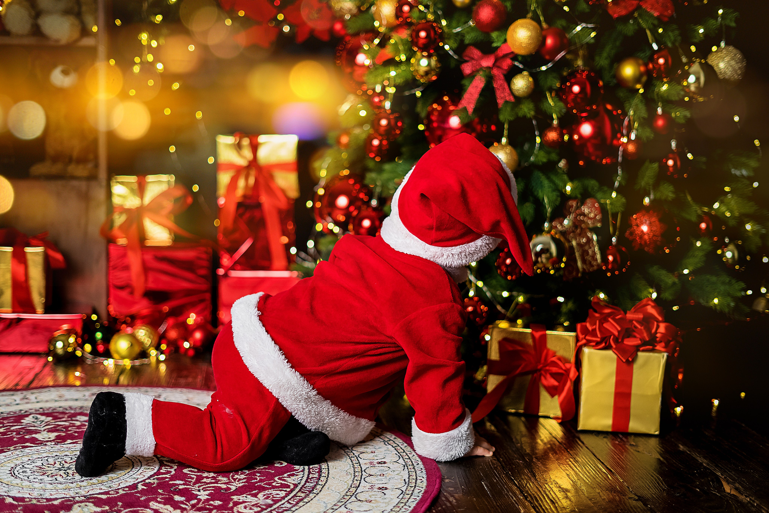 Новогодняя фотосессия. Свадебный и семейный фотограф/видеограф в Краснодаре Наталья Осинская